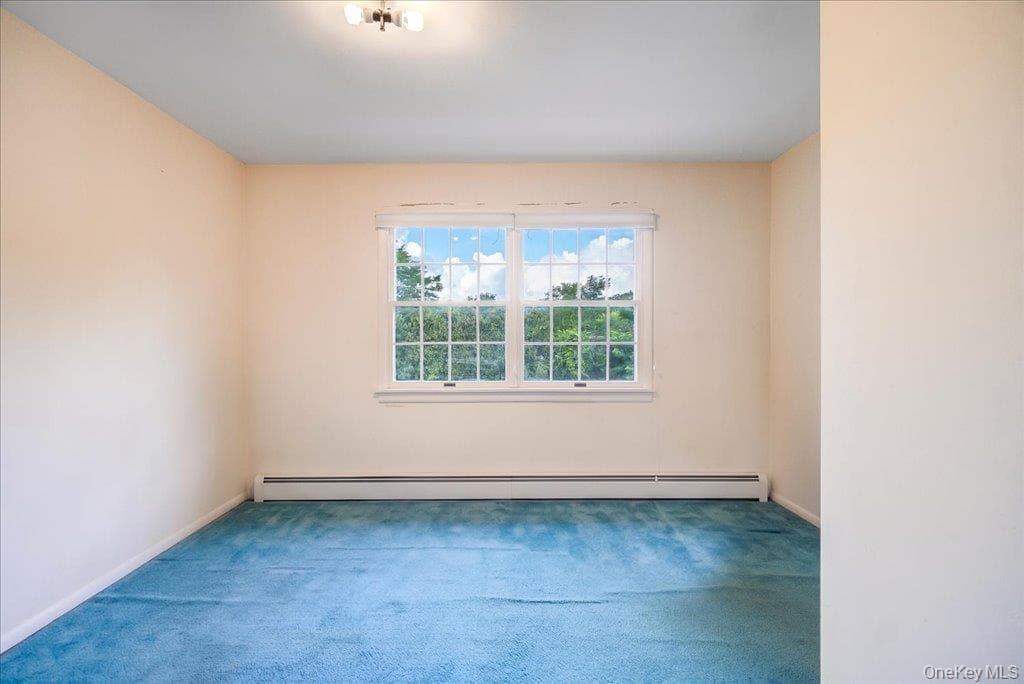 207 Butter Hill Drive thumbnail 8