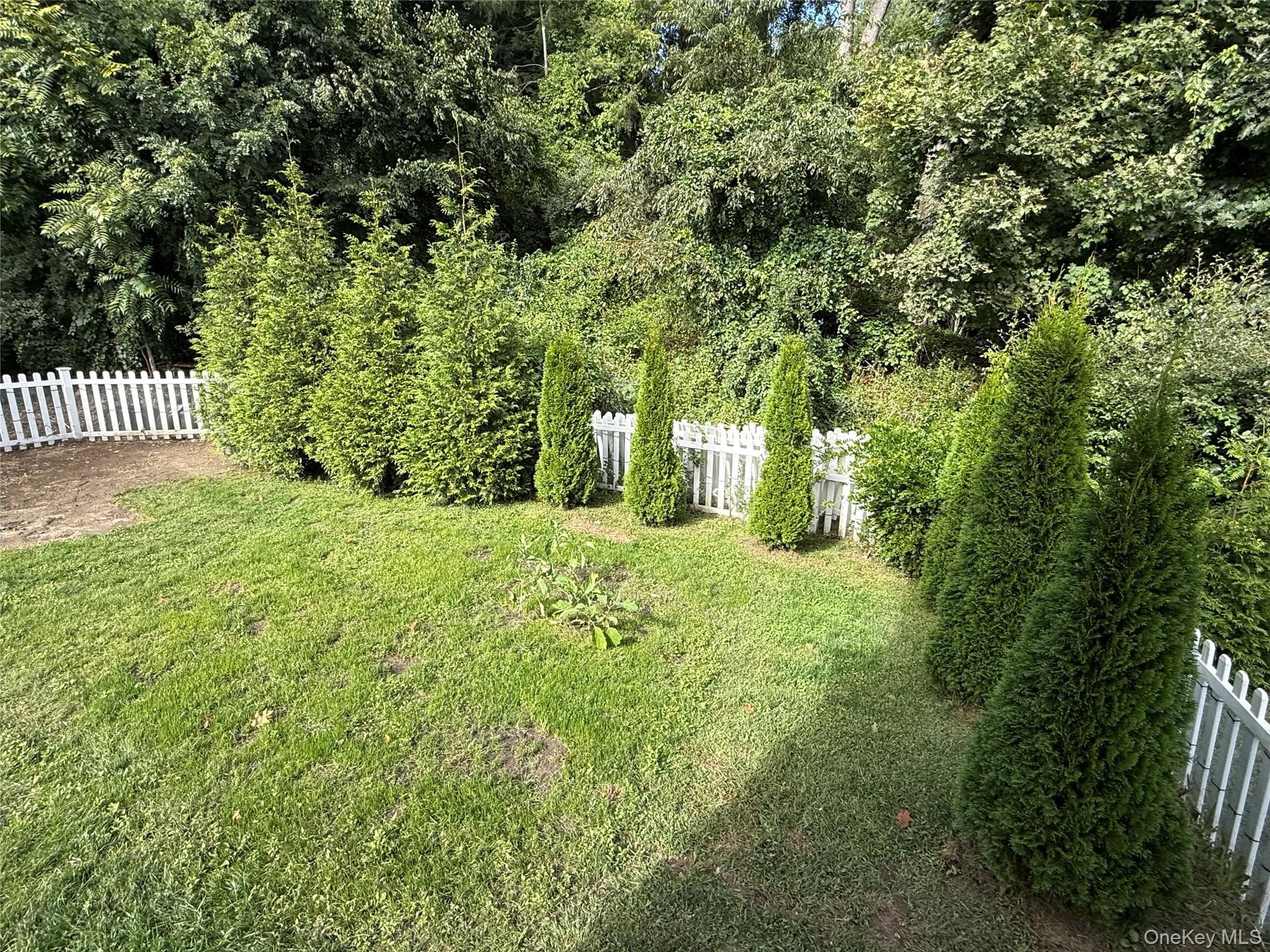 3123 Douglas Drive thumbnail 36