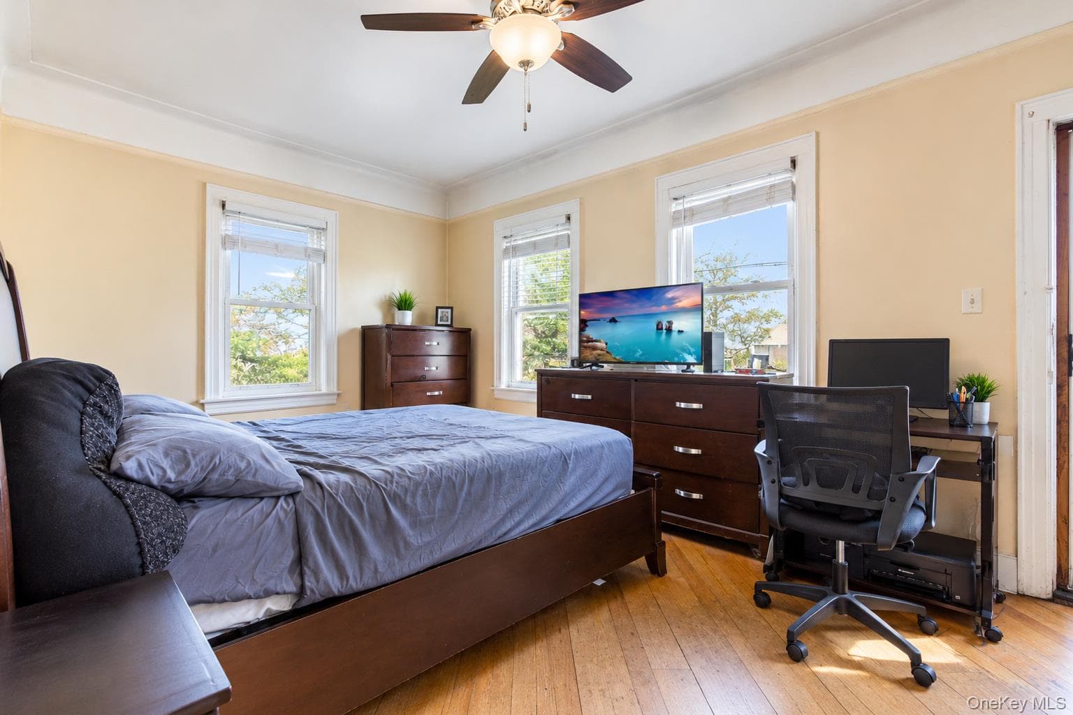 145 Arlington Avenue thumbnail 11