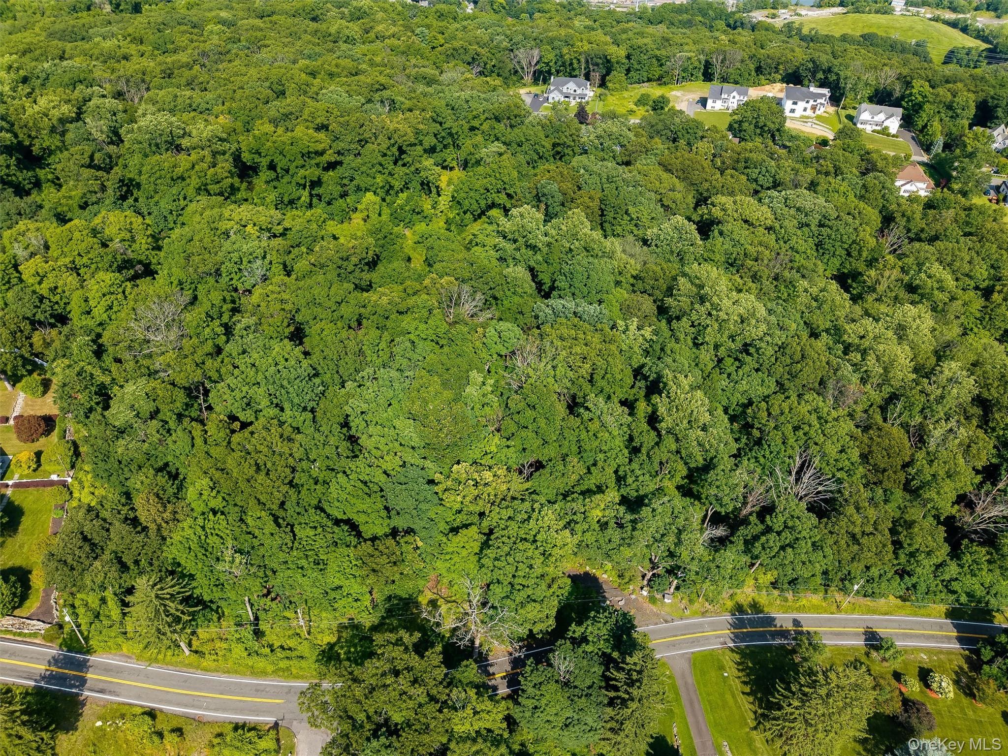 86 Buckberg Road thumbnail 5
