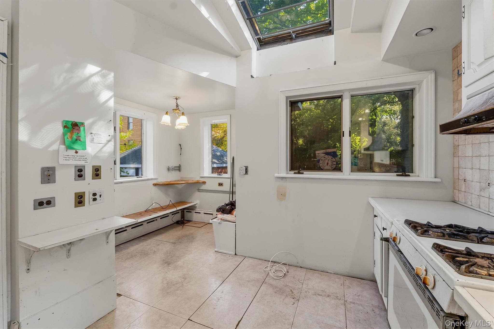 132 E 238th Street thumbnail 11