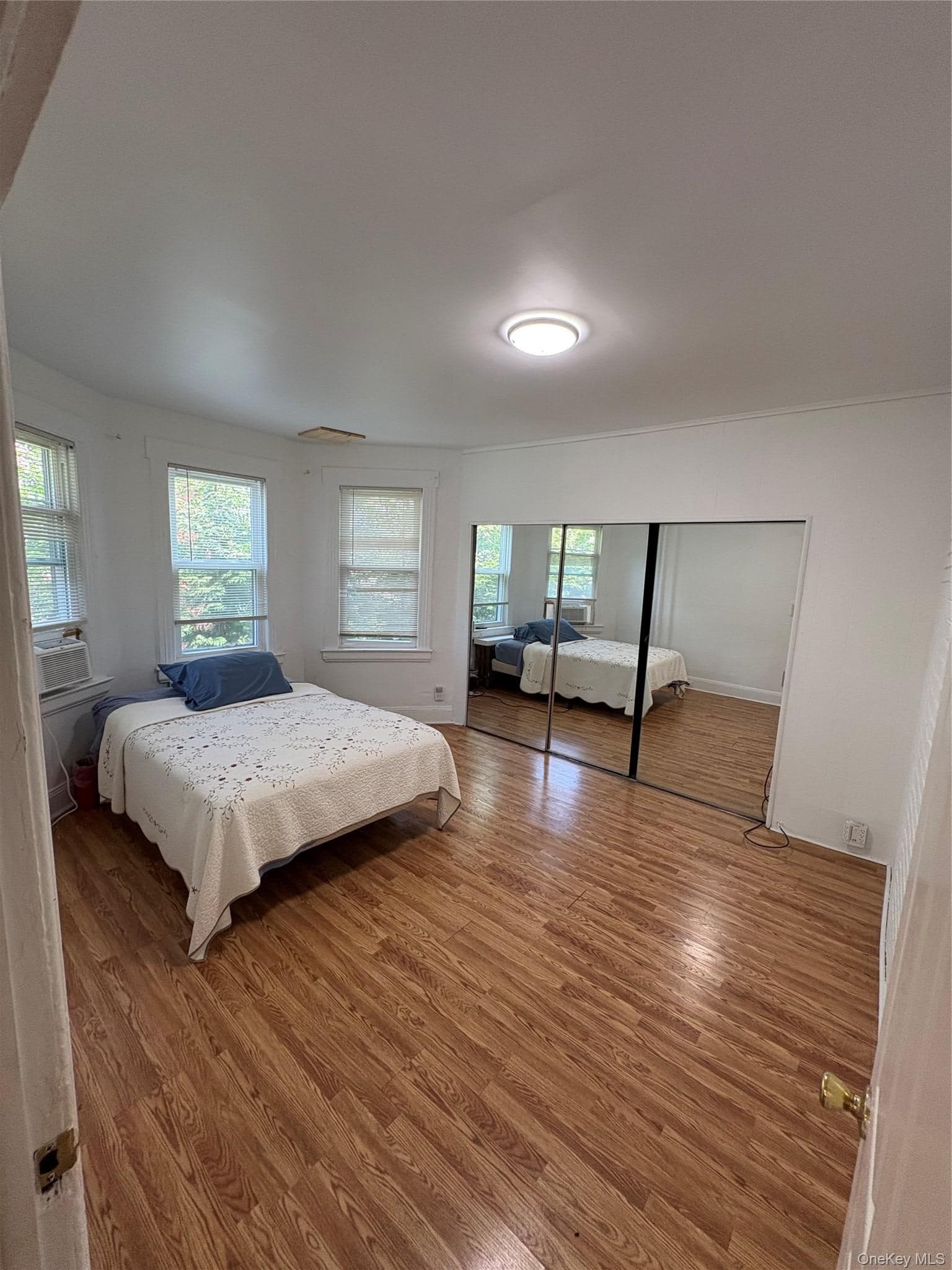 254 Hempstead Avenue thumbnail 8