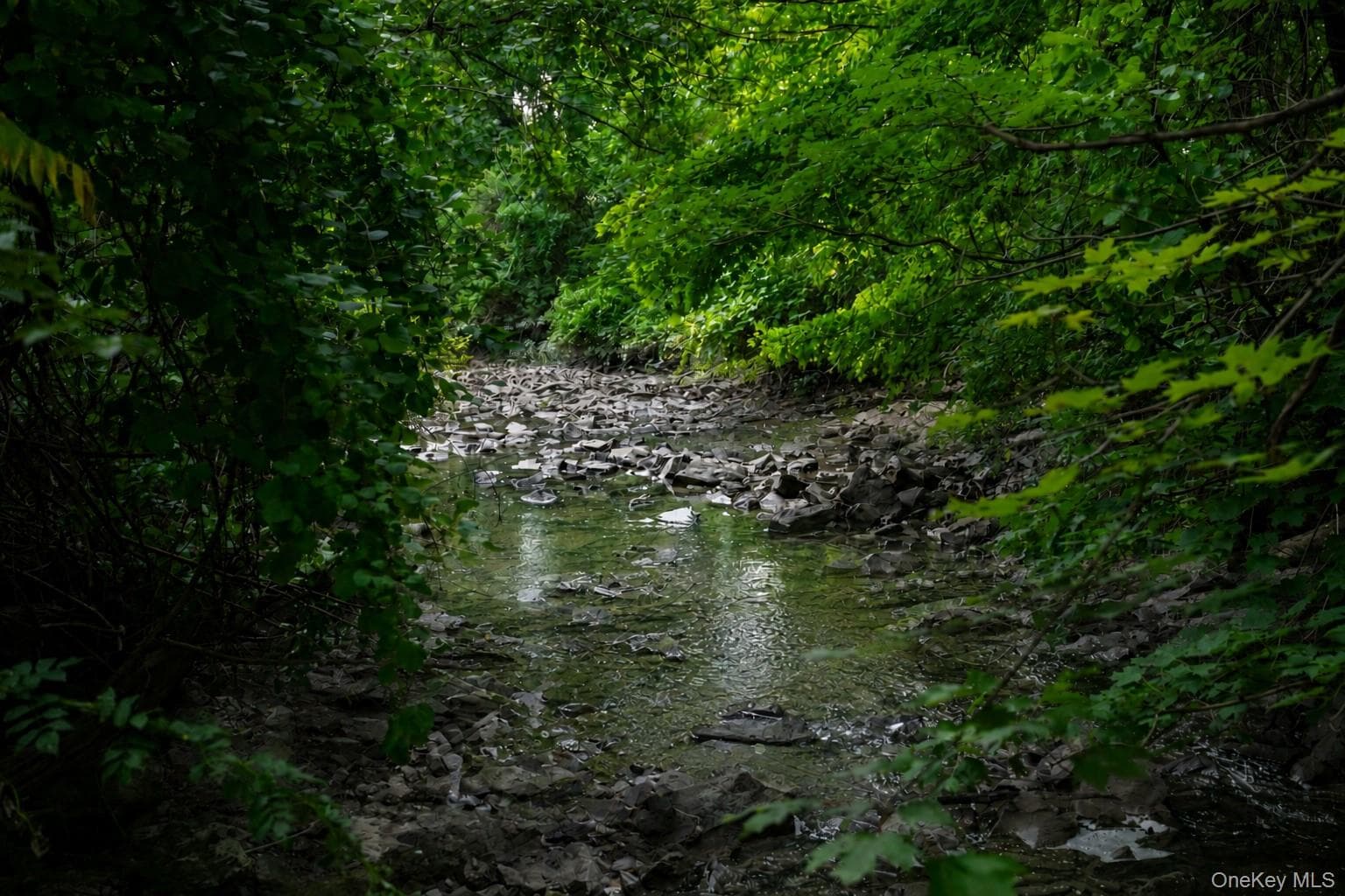 166 Ulster Landing Road thumbnail 10