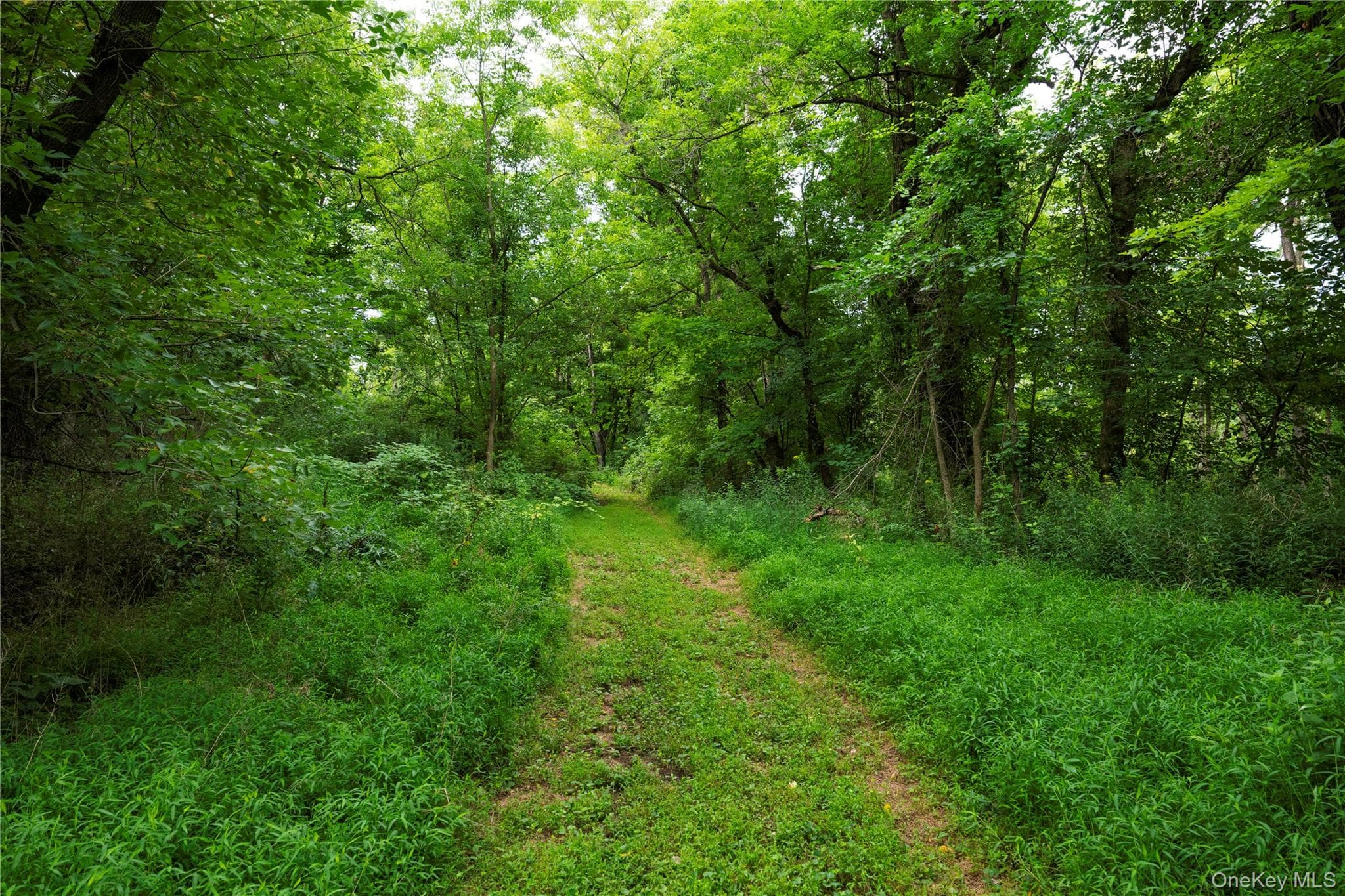 166 Ulster Landing Road thumbnail 15