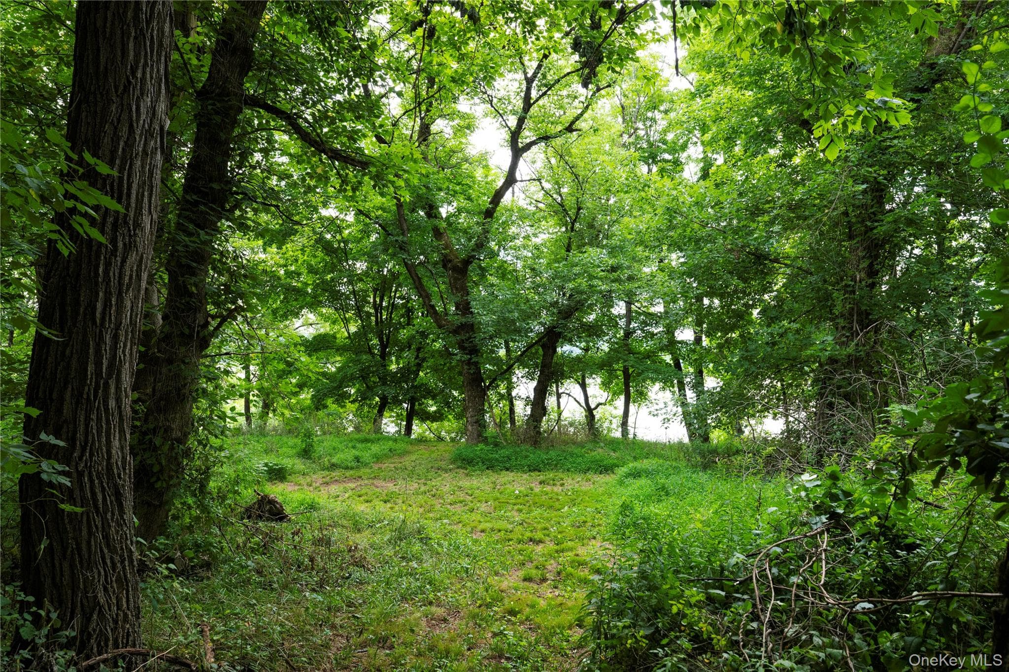 166 Ulster Landing Road thumbnail 17
