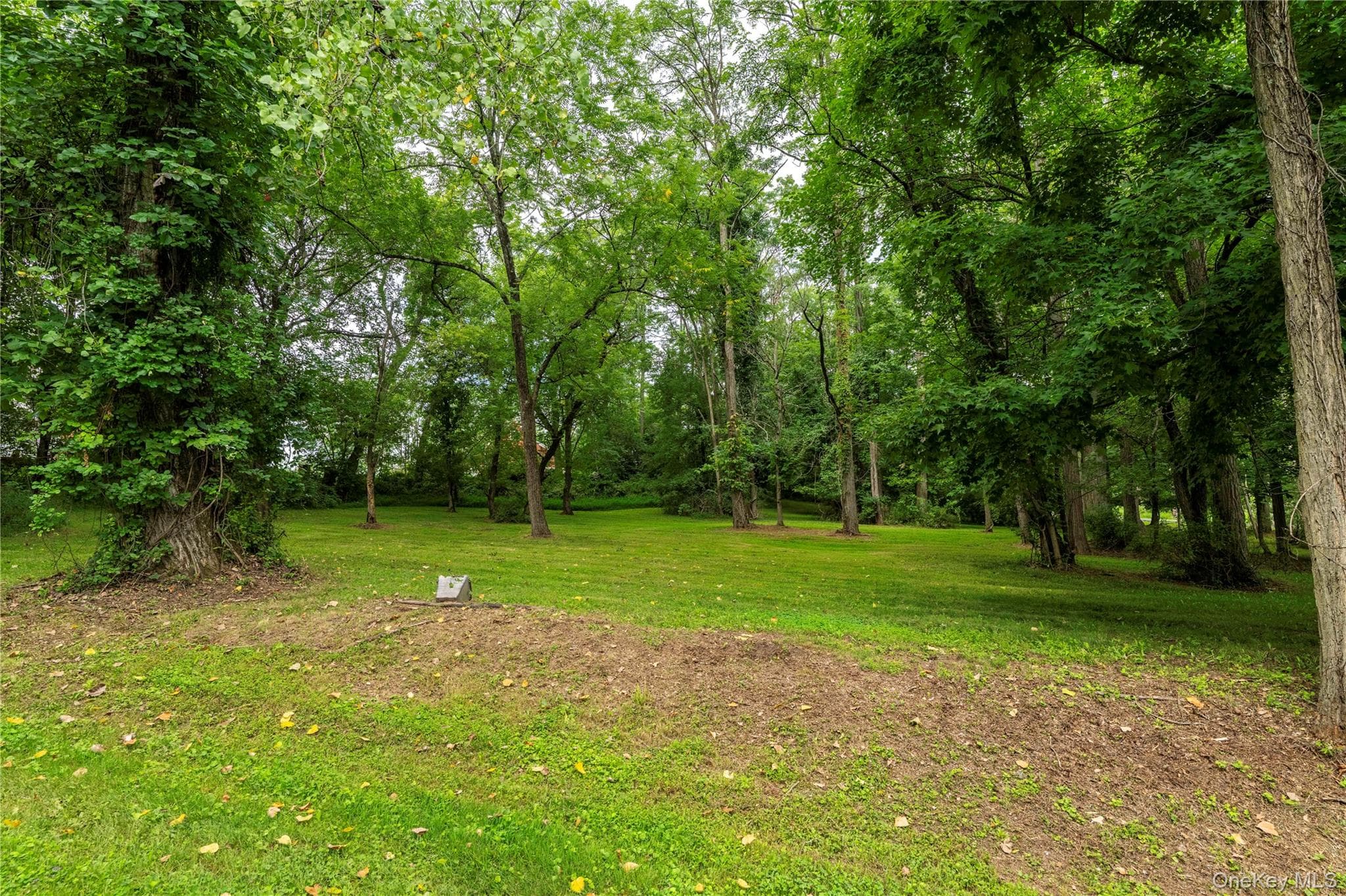 166 Ulster Landing Road thumbnail 19