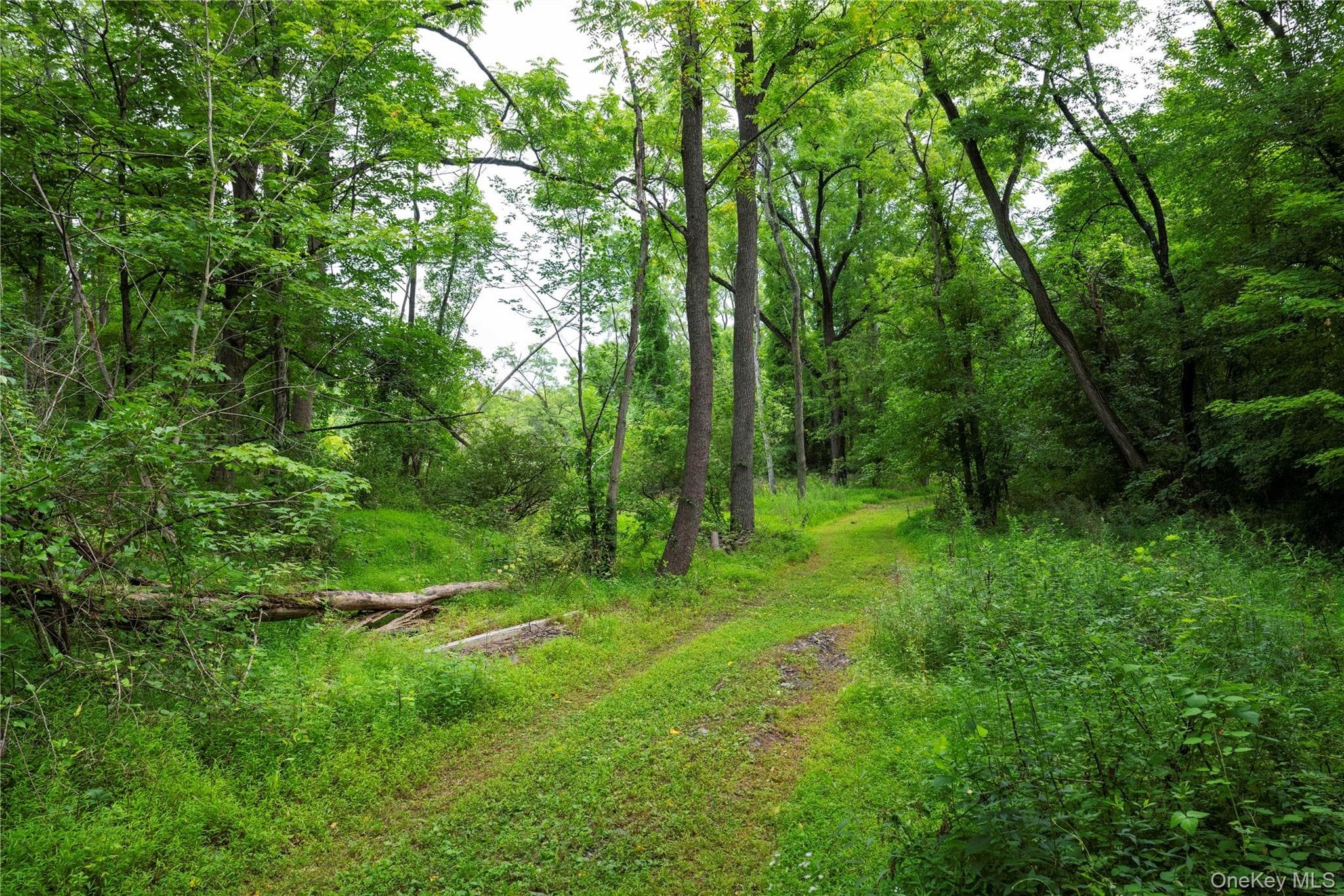 166 Ulster Landing Road thumbnail 14