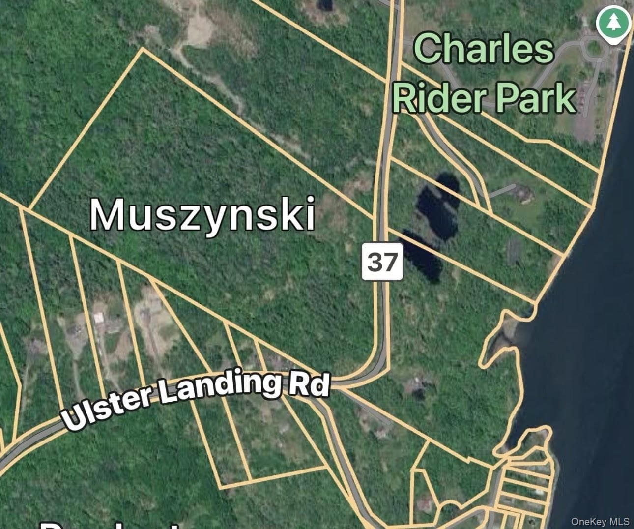 166 Ulster Landing Road thumbnail 34