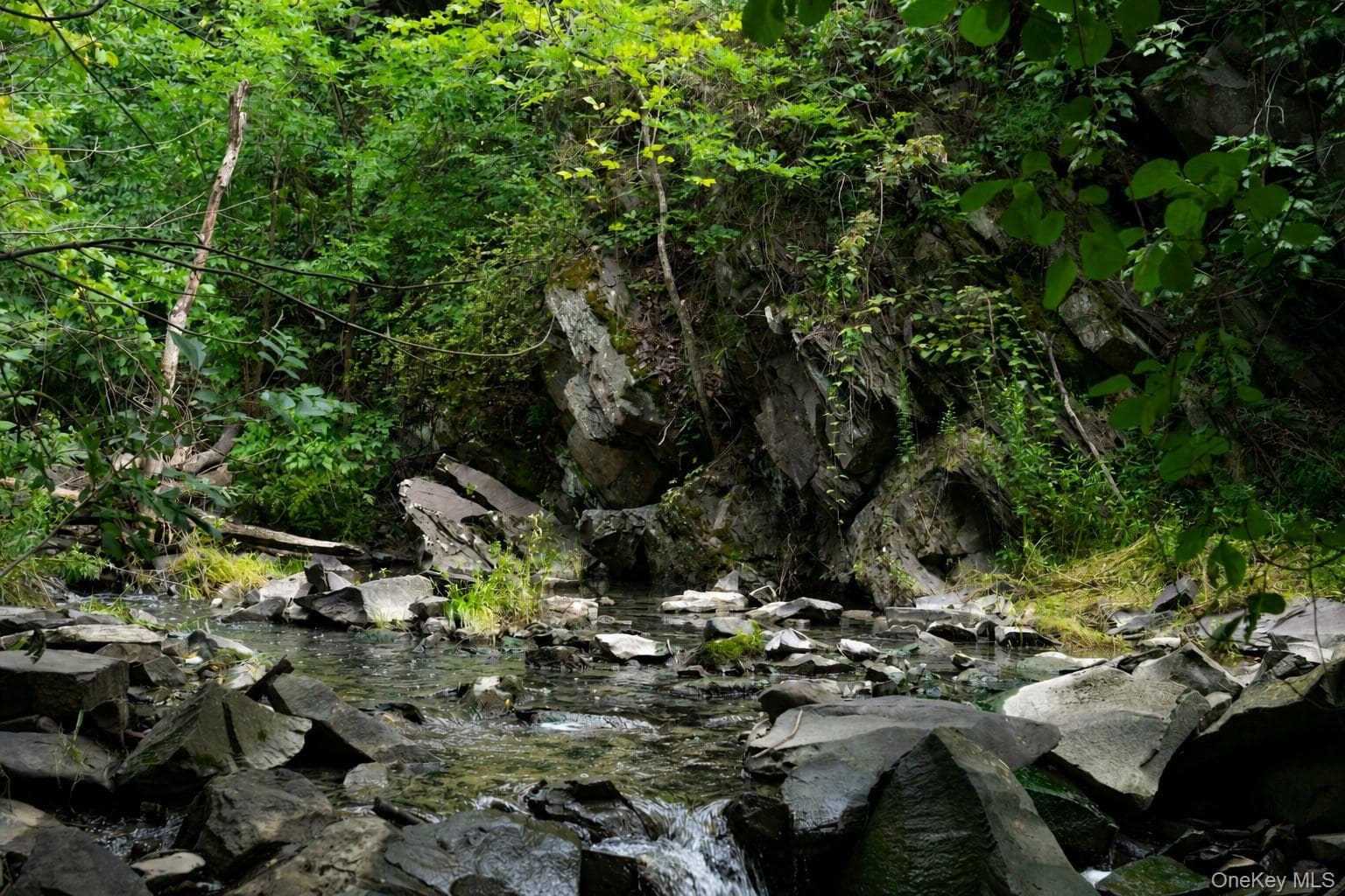 166 Ulster Landing Road thumbnail 9
