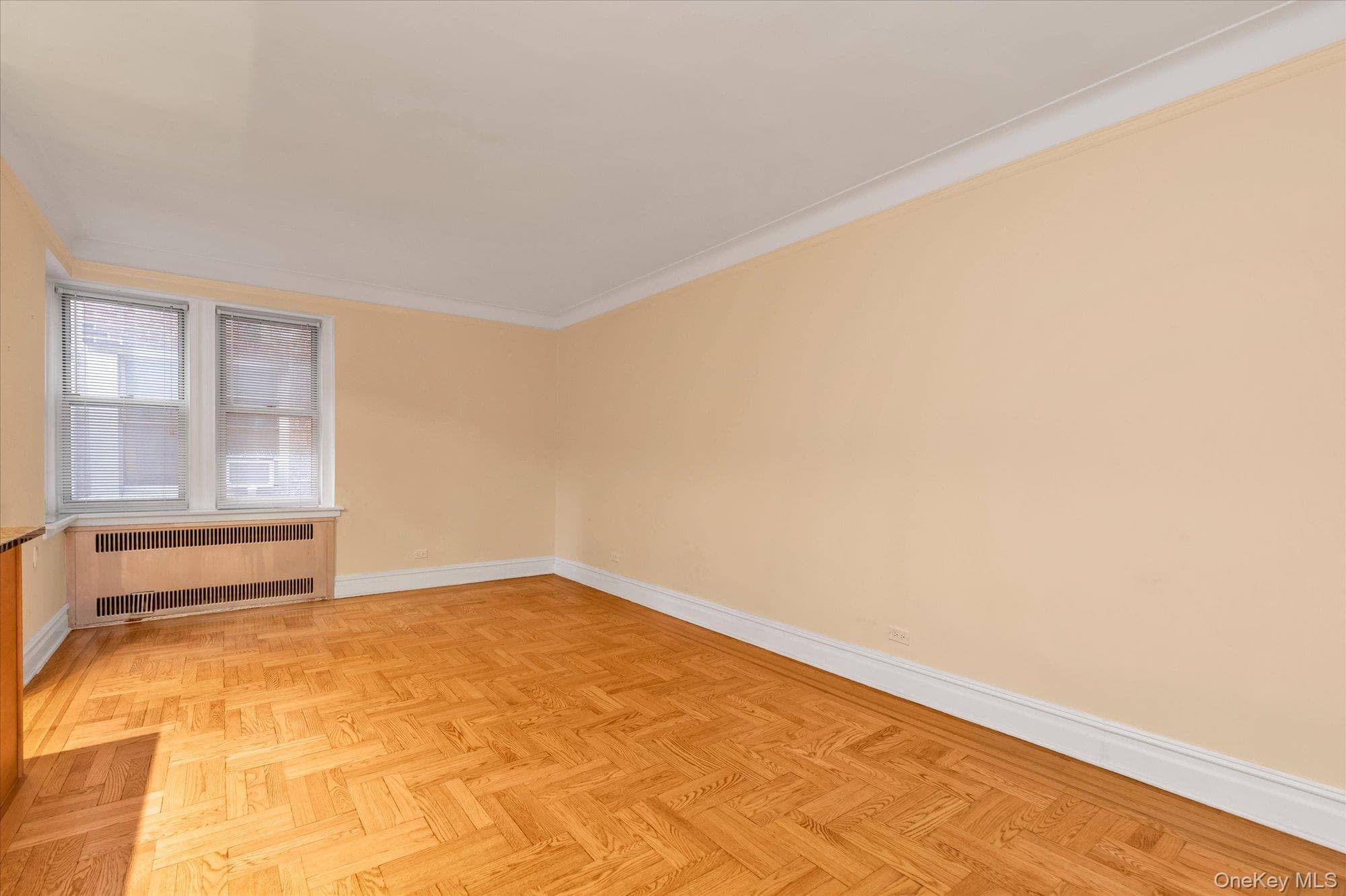 41-20 46 Street Unit: 4A thumbnail 5