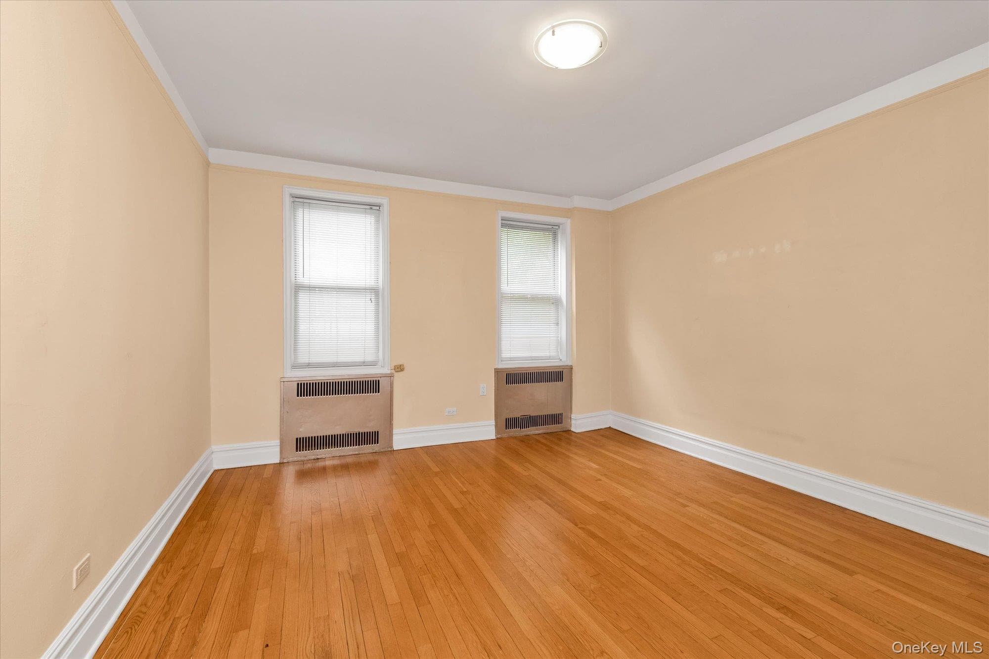 41-20 46 Street Unit: 4A thumbnail 10