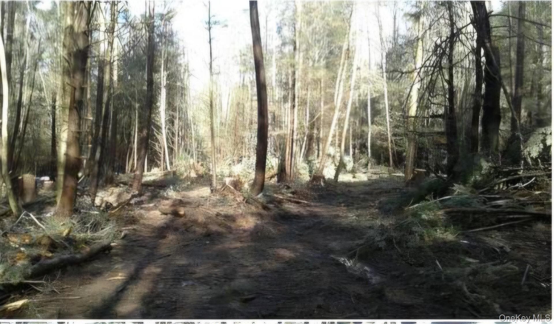 24-12 Parks Rd DR, White Sulphur Spring