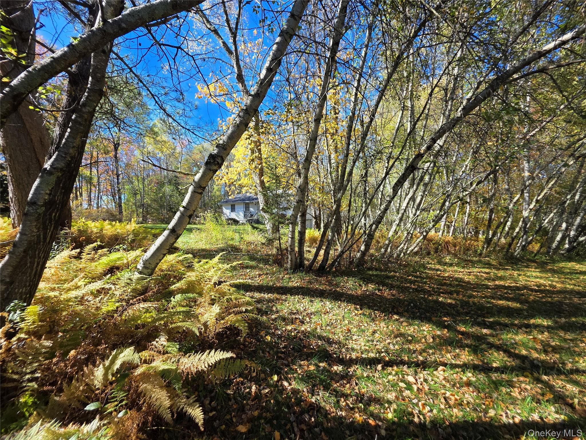 204-214 Okeefe Hill Road thumbnail 11