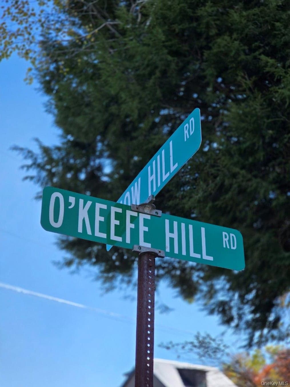 204-214 Okeefe Hill Road thumbnail 42