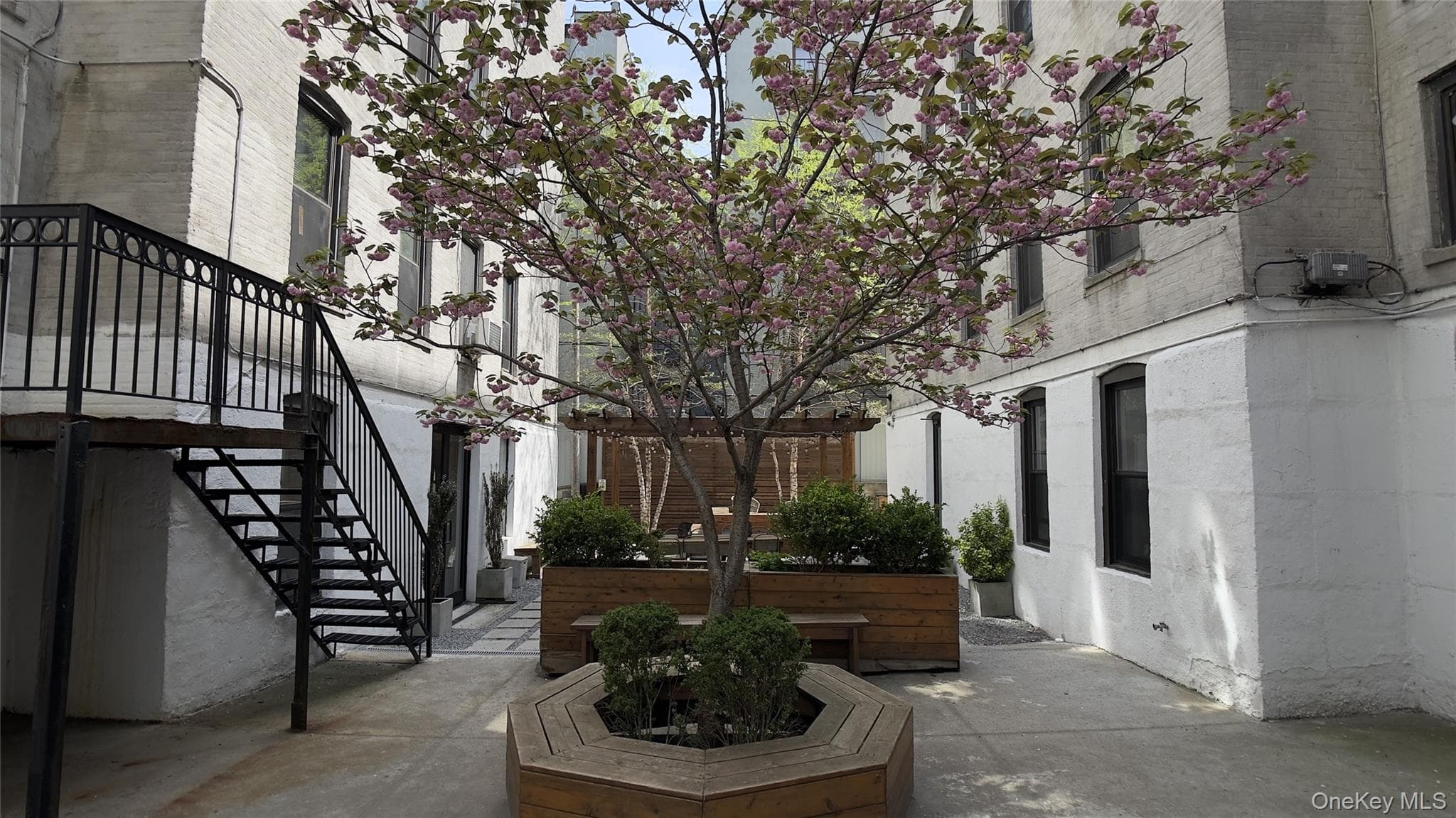 24-65 38th Street Unit: 10C thumbnail 25