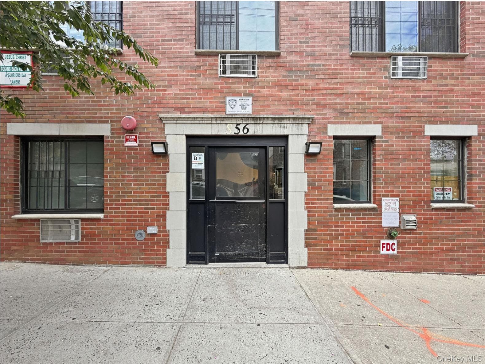 856 E 213th Street thumbnail 2
