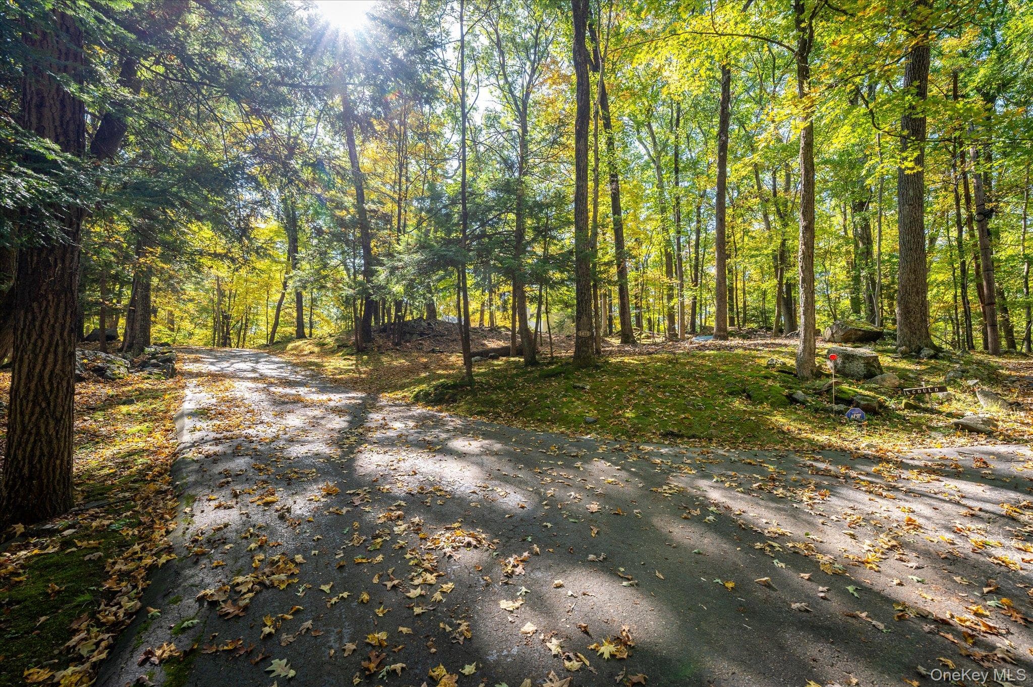 1471 Old Logging Road thumbnail 4