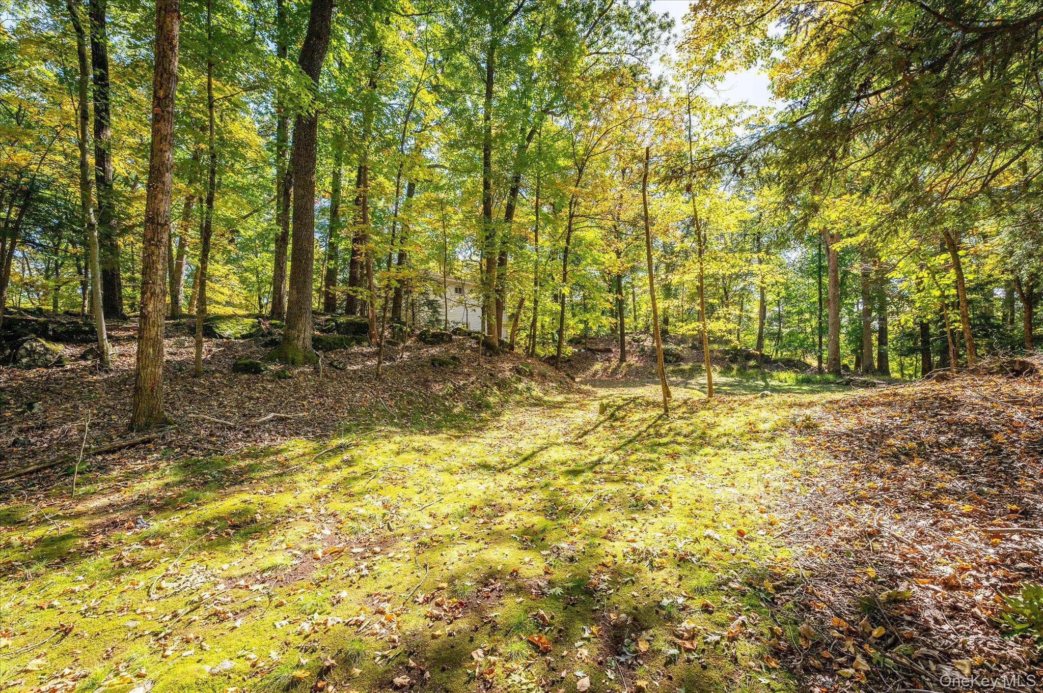 1471 Old Logging Road thumbnail 32