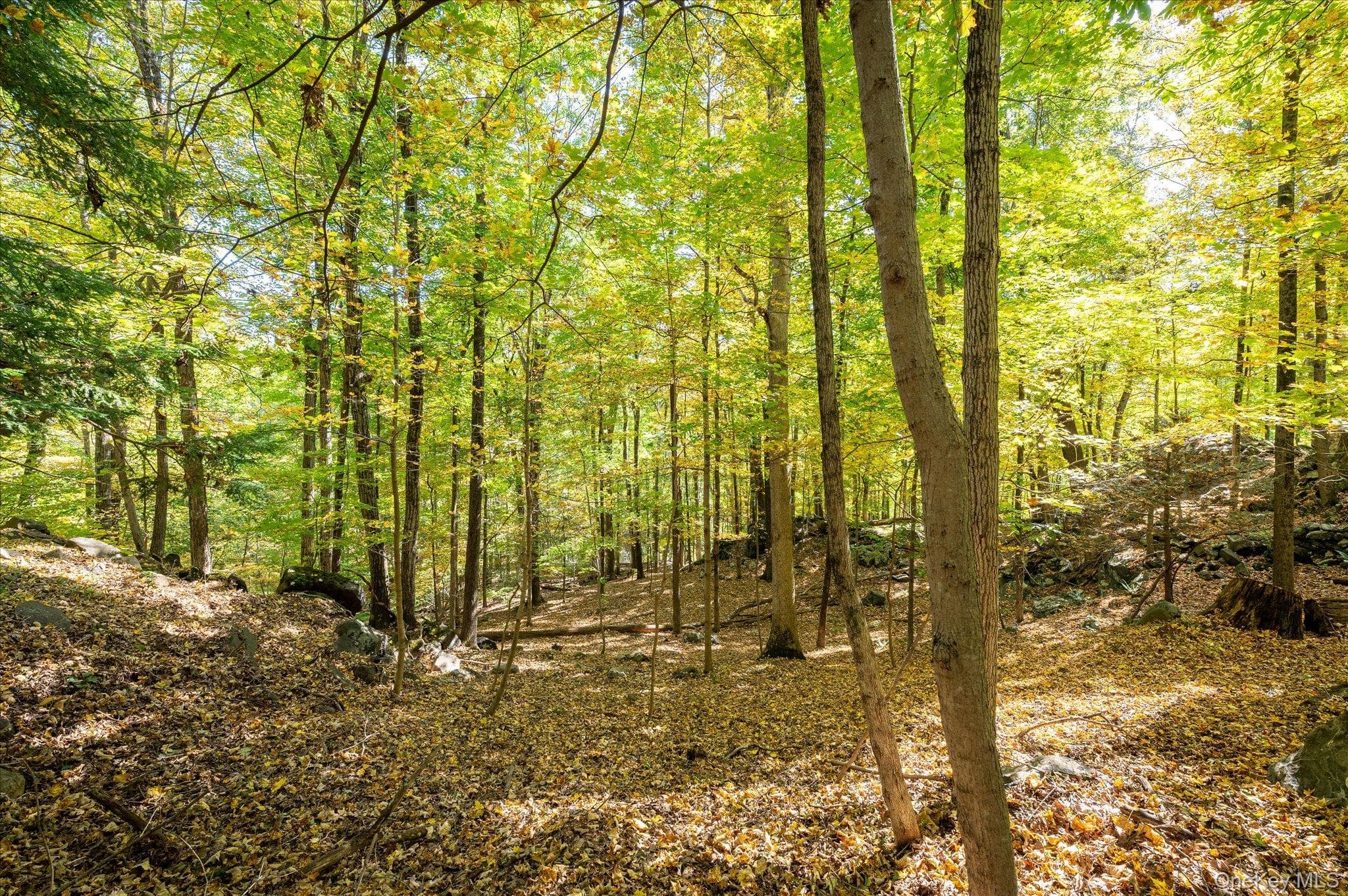 1471 Old Logging Road thumbnail 31