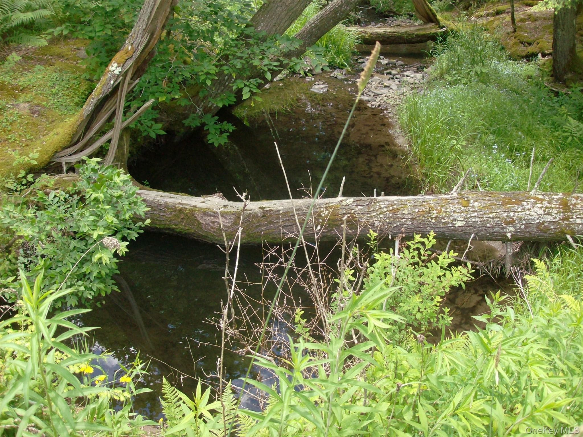 70 Bonnie Brook Road thumbnail 29