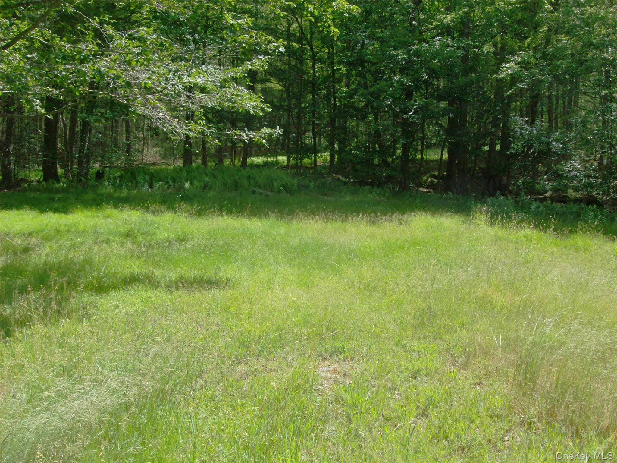 70 Bonnie Brook Road thumbnail 38