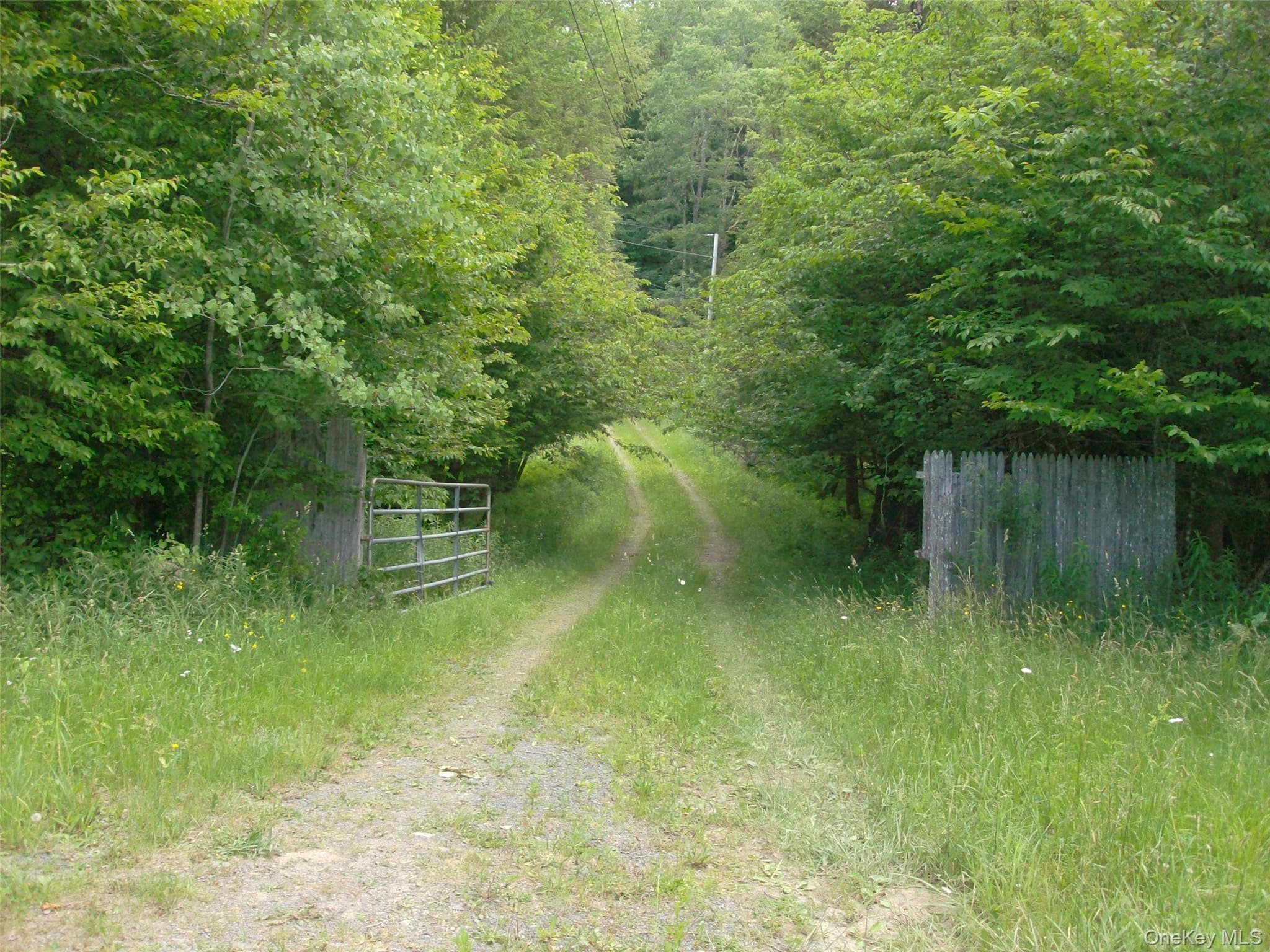 70 Bonnie Brook Road thumbnail 30