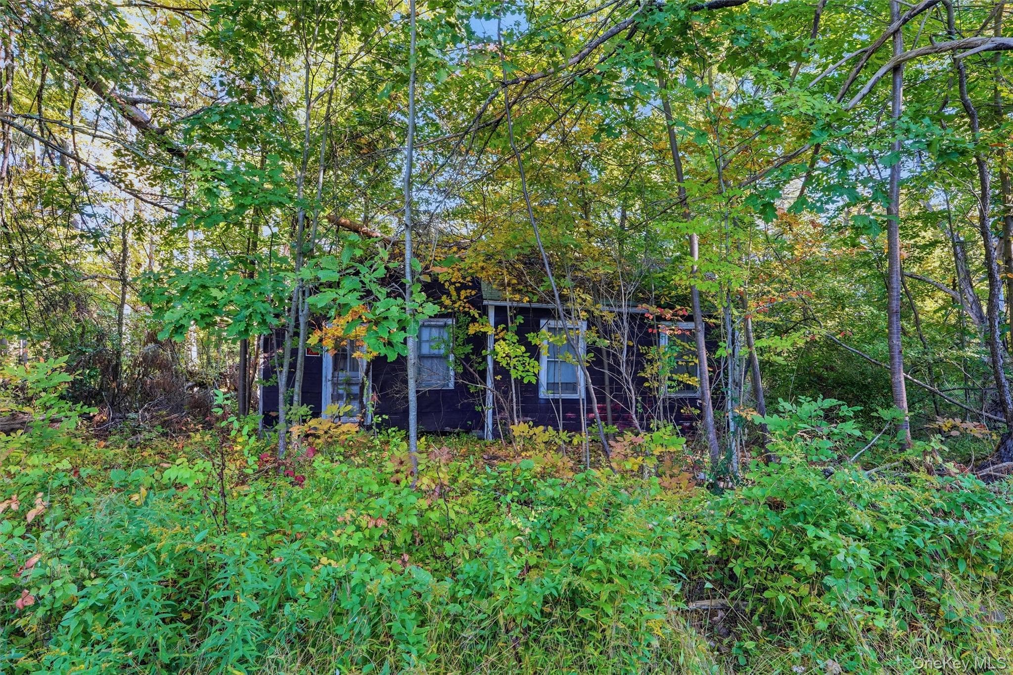 66 Turkey Hill Road thumbnail 12