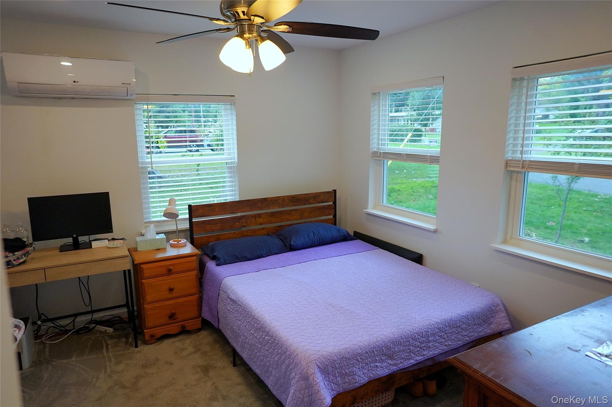 19 Meadow Street thumbnail 11