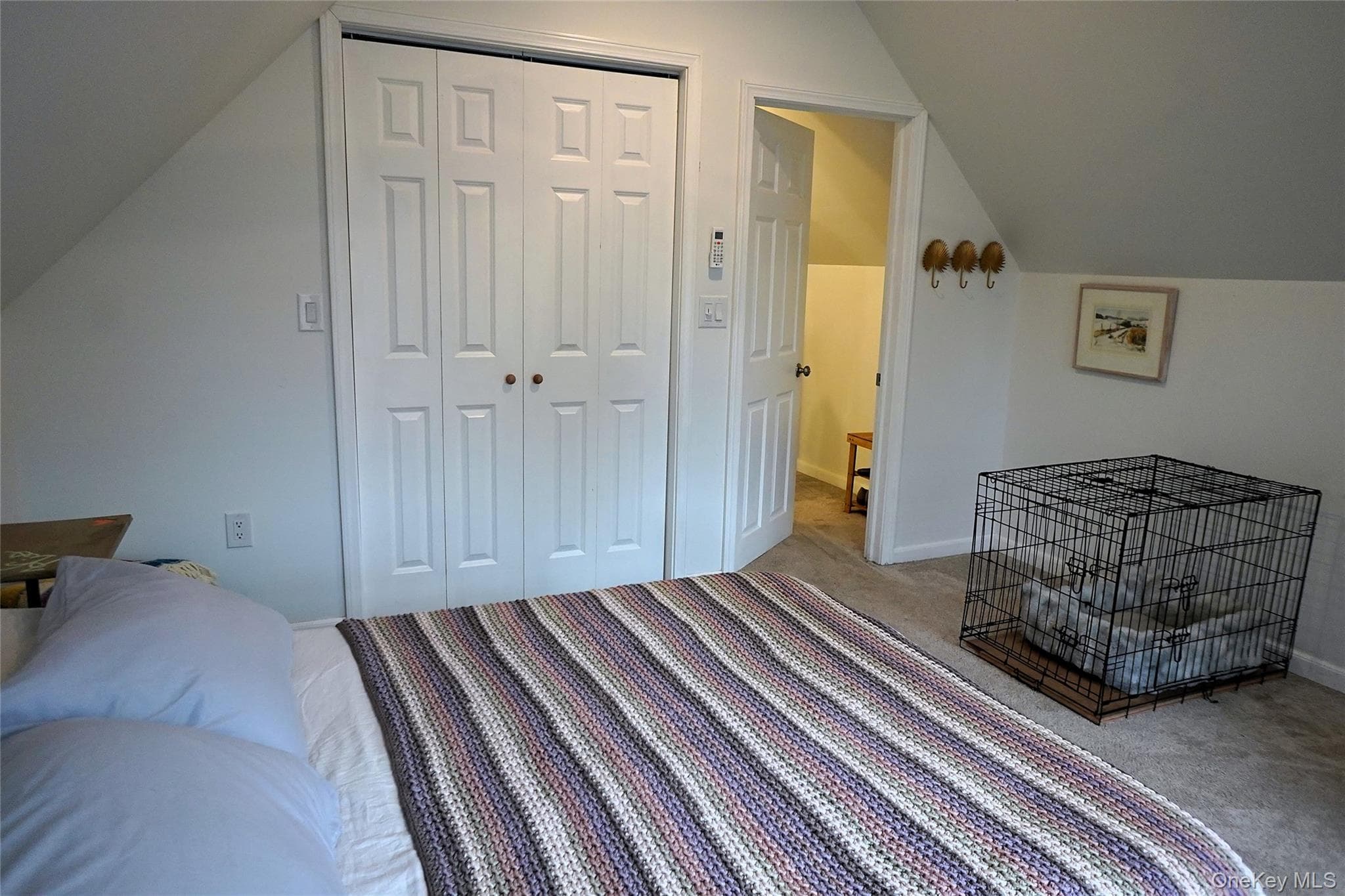 19 Meadow Street thumbnail 15