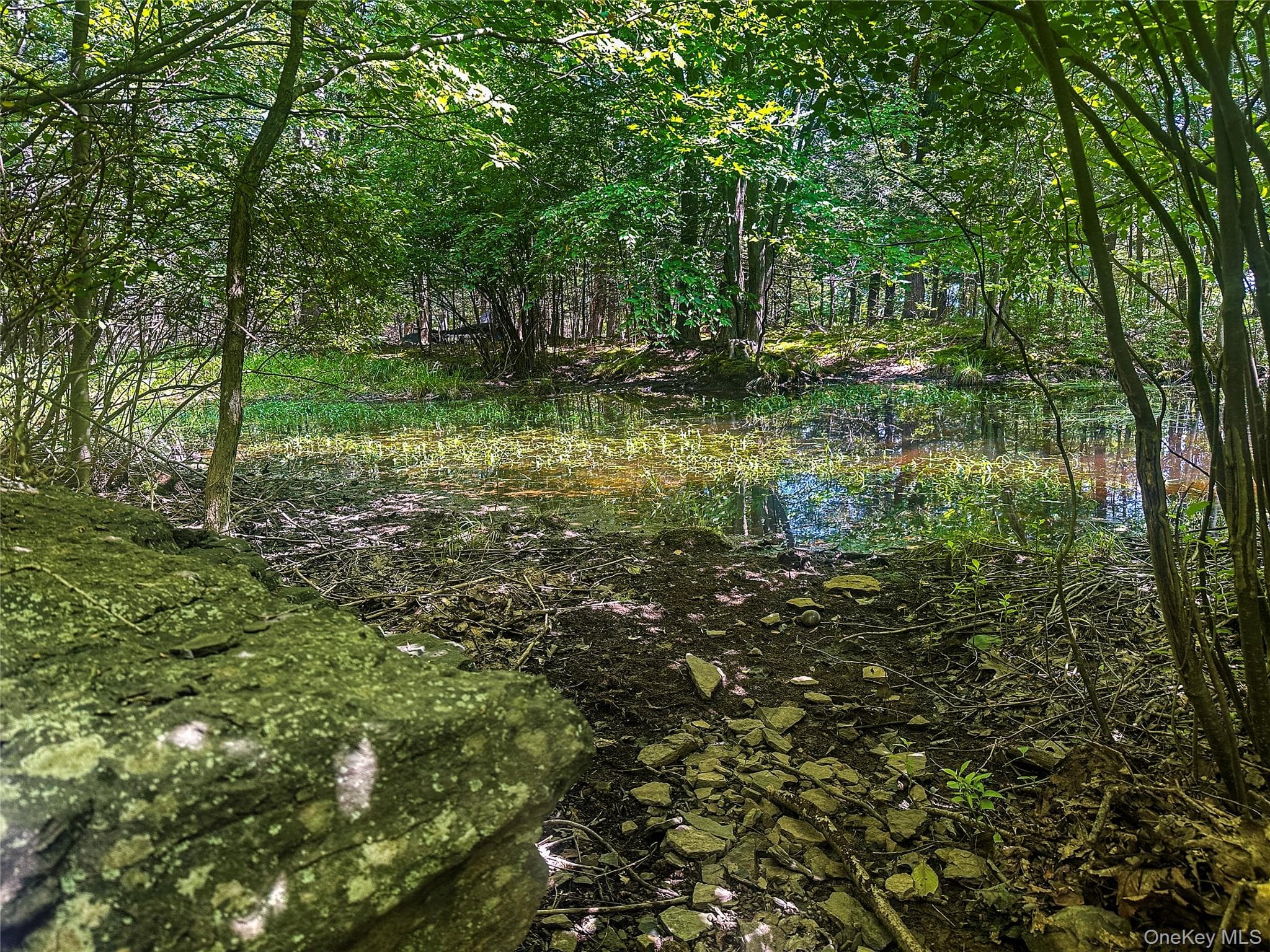 231 Manorville Road thumbnail 39