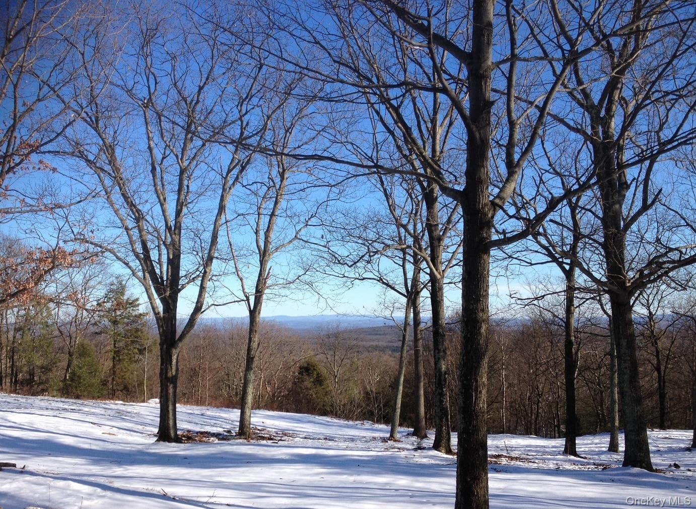 231 Manorville Road thumbnail 44