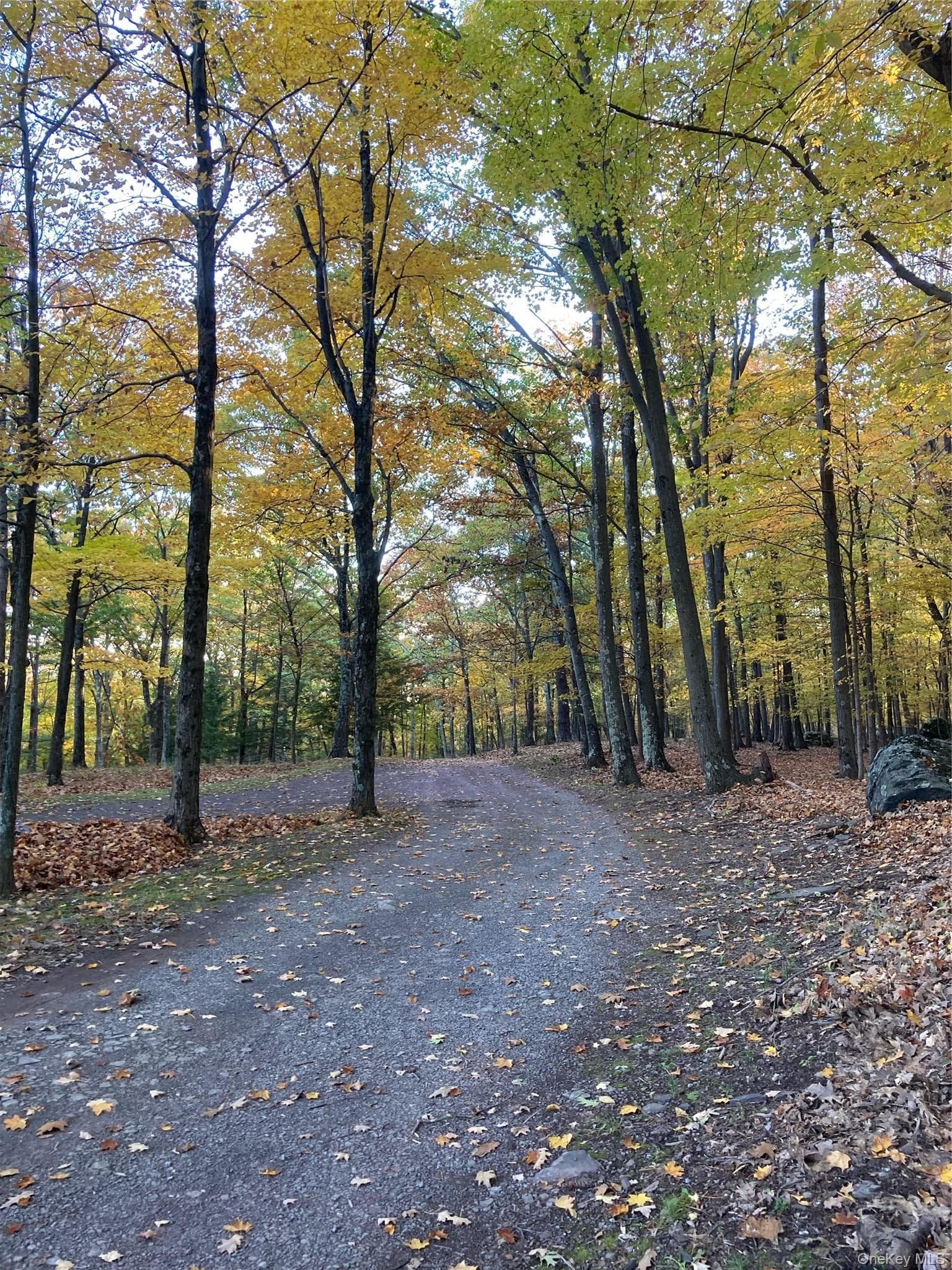 231 Manorville Road thumbnail 40