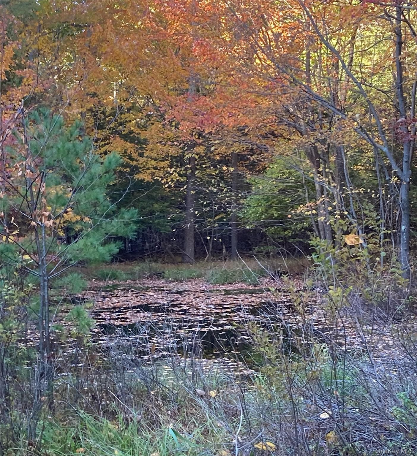231 Manorville Road thumbnail 38