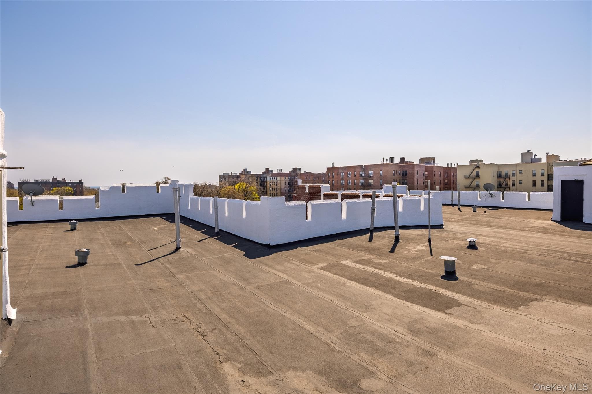910 Dinsmore Avenue thumbnail 12
