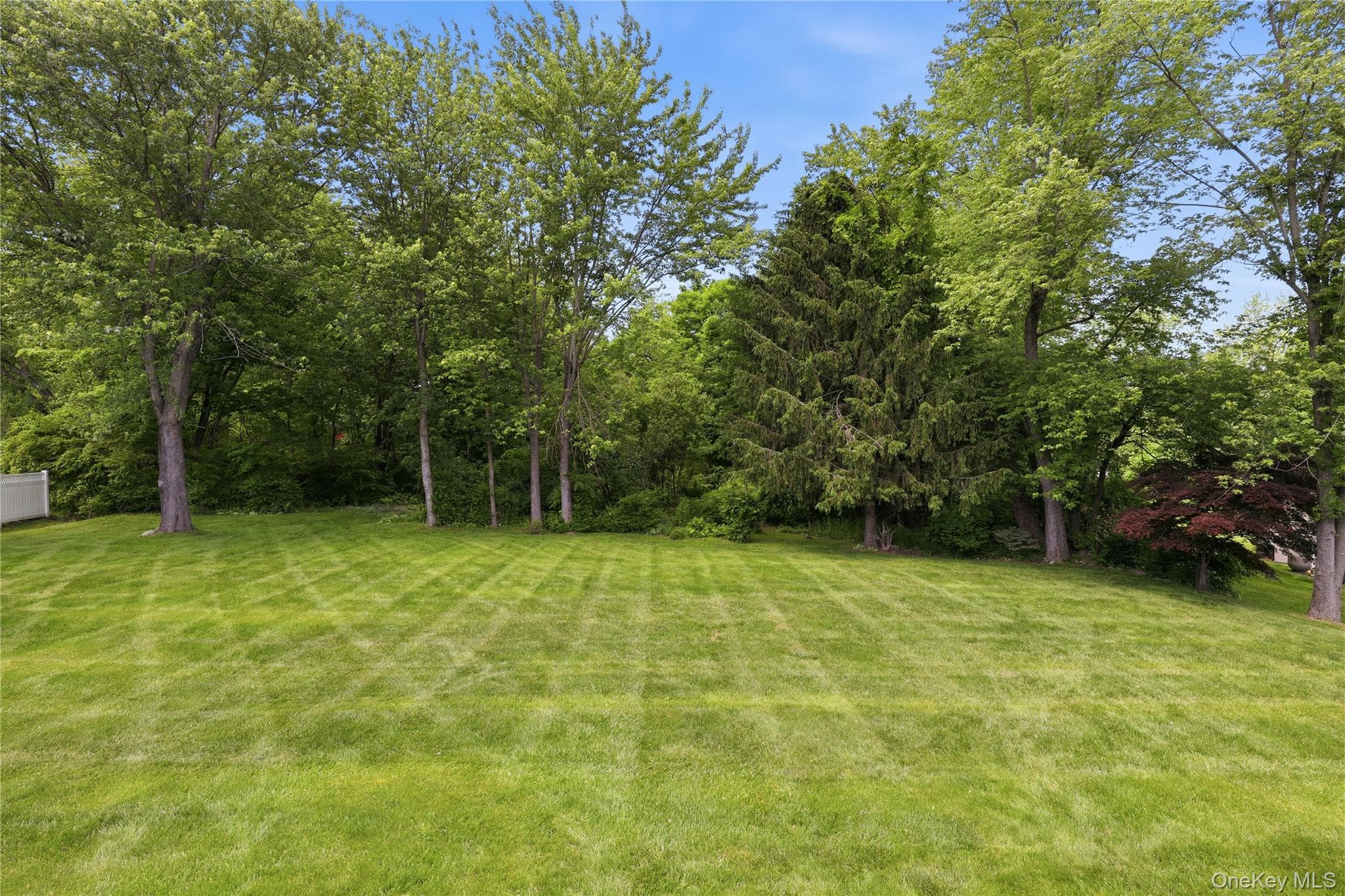 3093 Ferncrest Drive thumbnail 7
