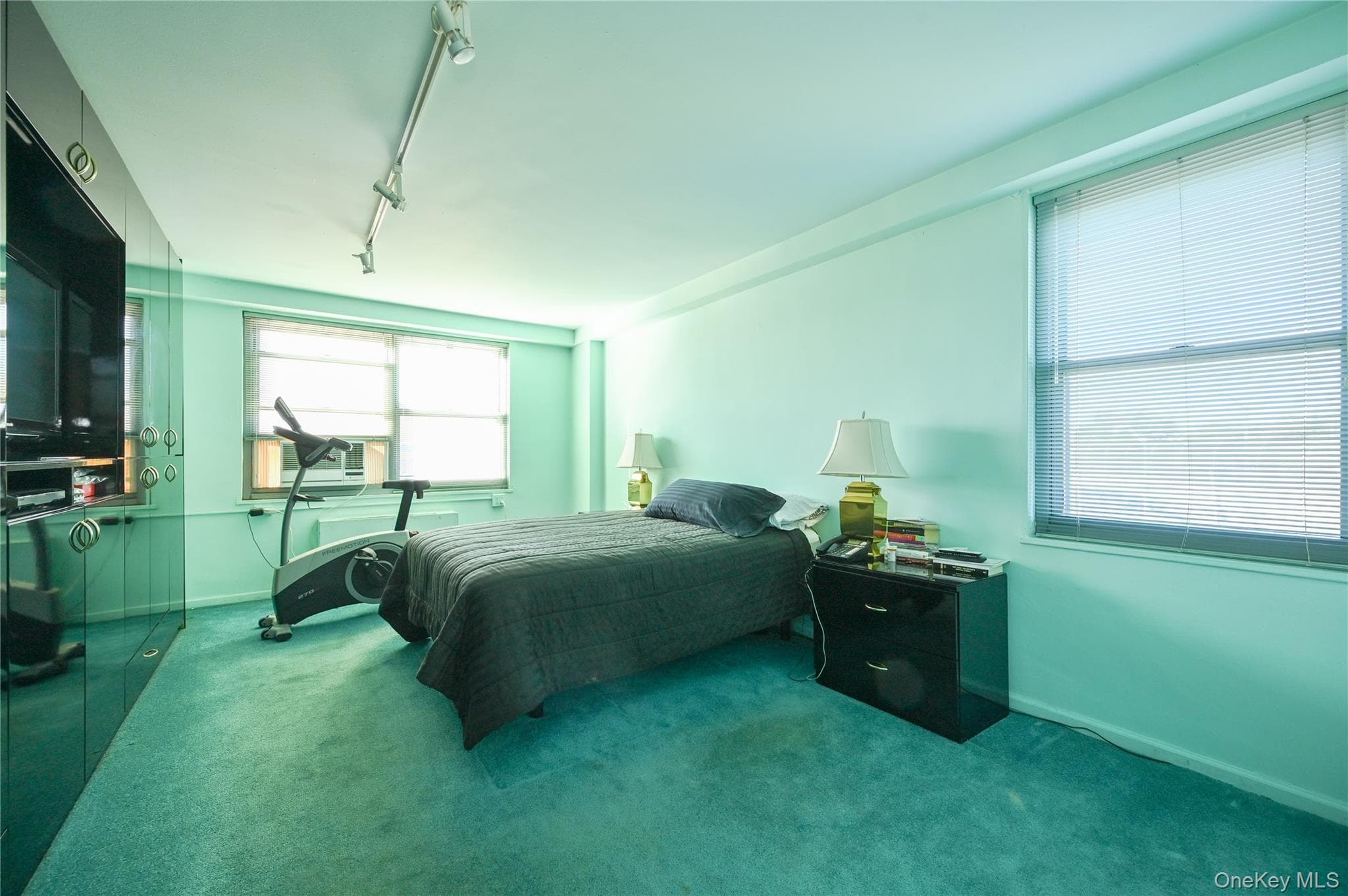 61-20 Grand Central Parkway Unit: C 306 thumbnail 15
