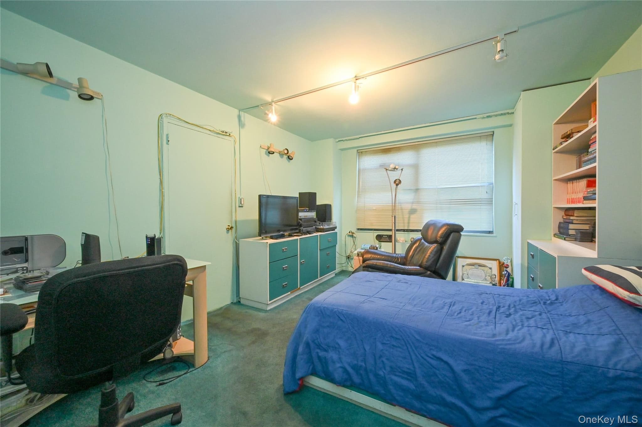 61-20 Grand Central Parkway Unit: C 306 thumbnail 18