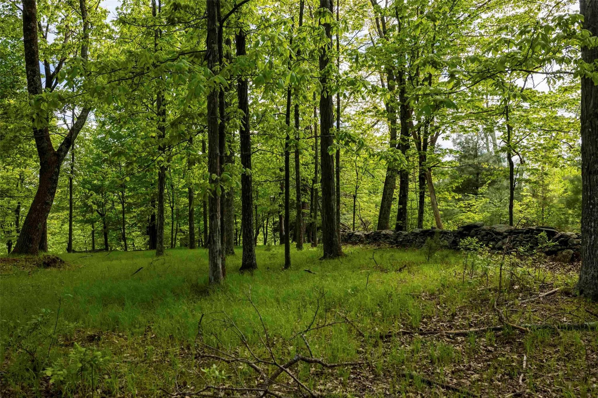 8 Forest Camp Road thumbnail 14