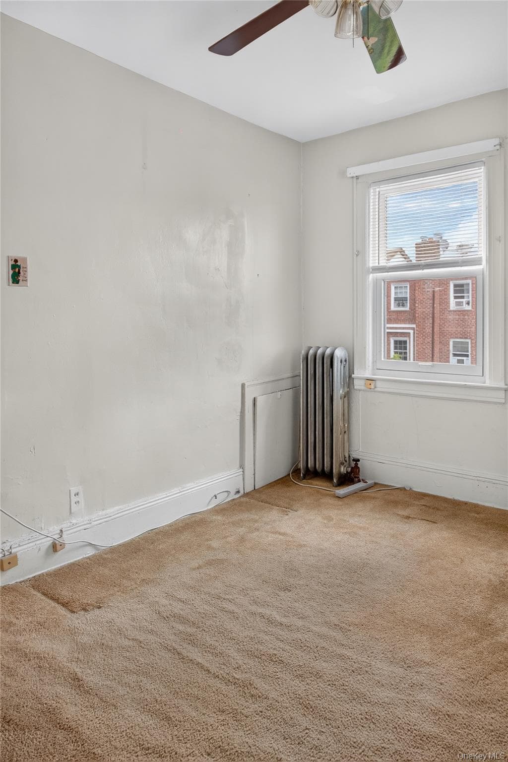 543 E 38th Street thumbnail 16