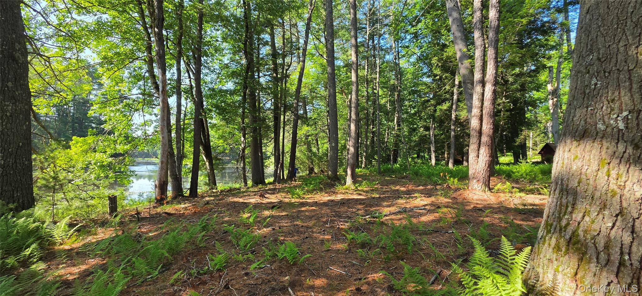 80 Beaver Brook Road thumbnail 21