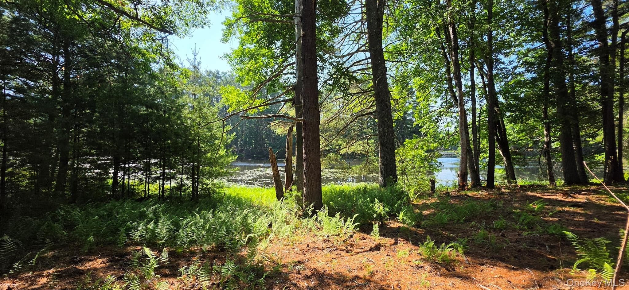 80 Beaver Brook Road thumbnail 20