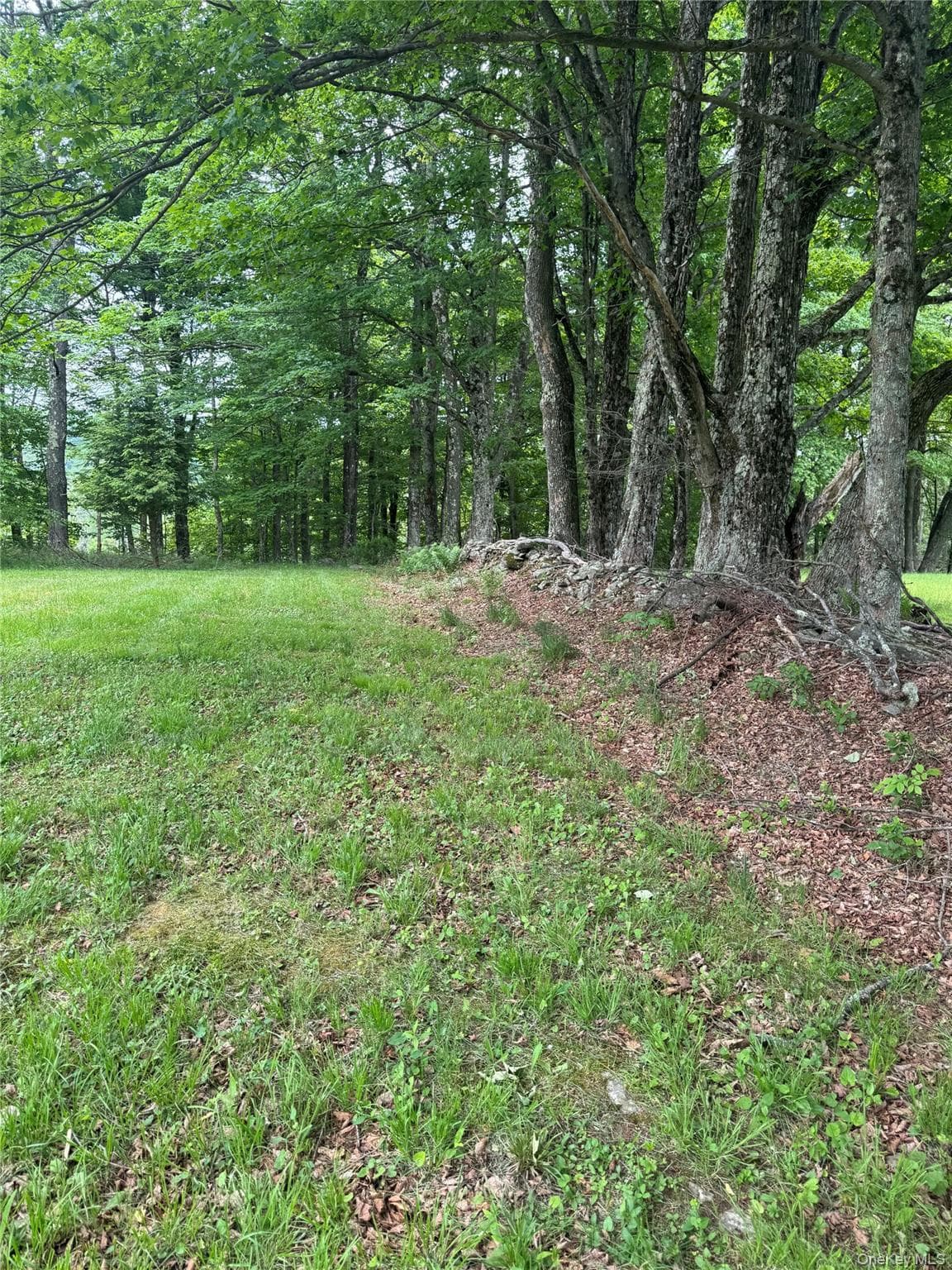 742 Lenape Lake Road thumbnail 9