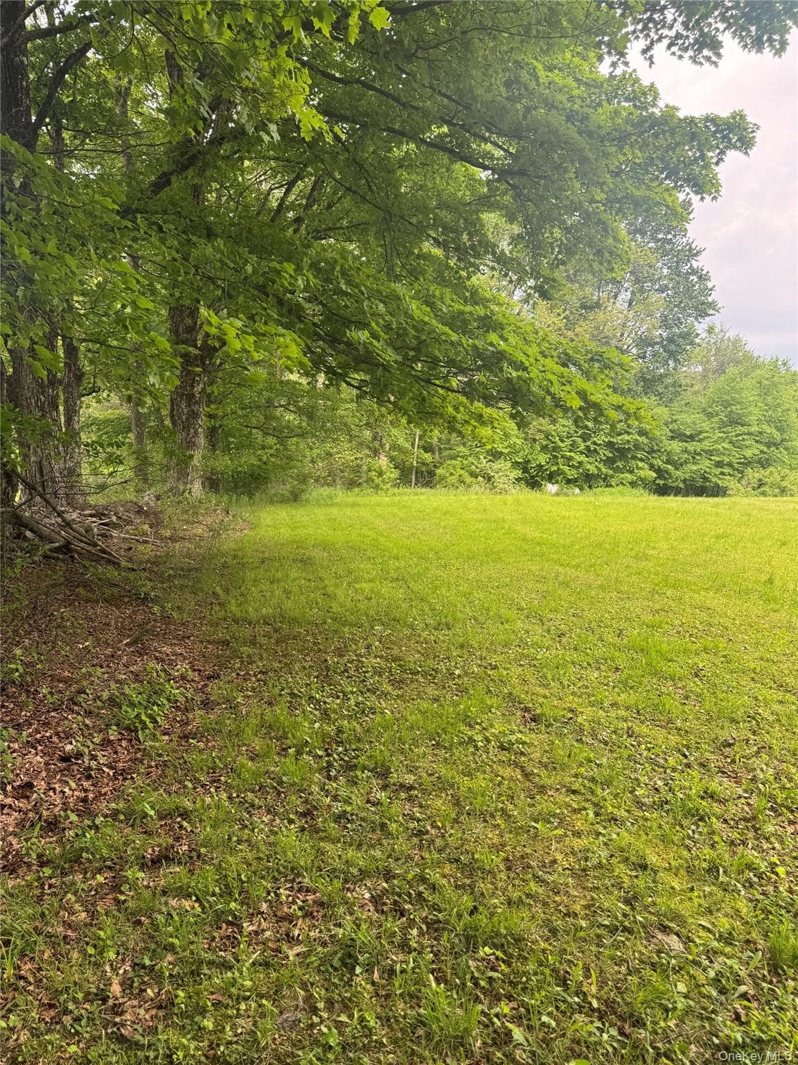 742 Lenape Lake Road thumbnail 21