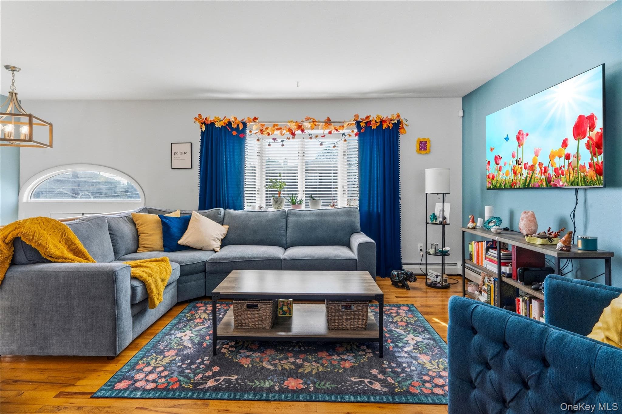 34 Knoll Street thumbnail 4