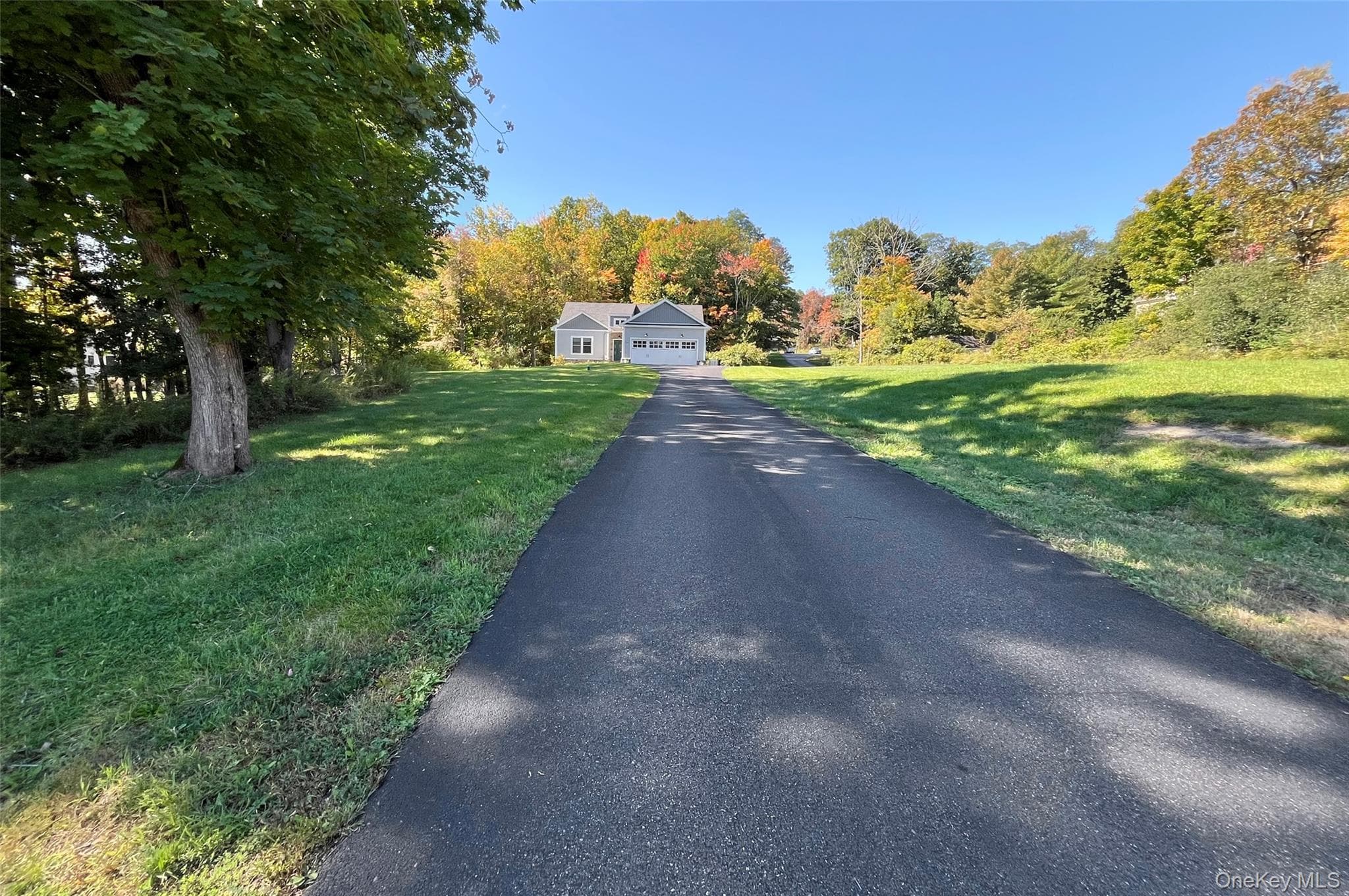 221 Maple Avenue thumbnail 41