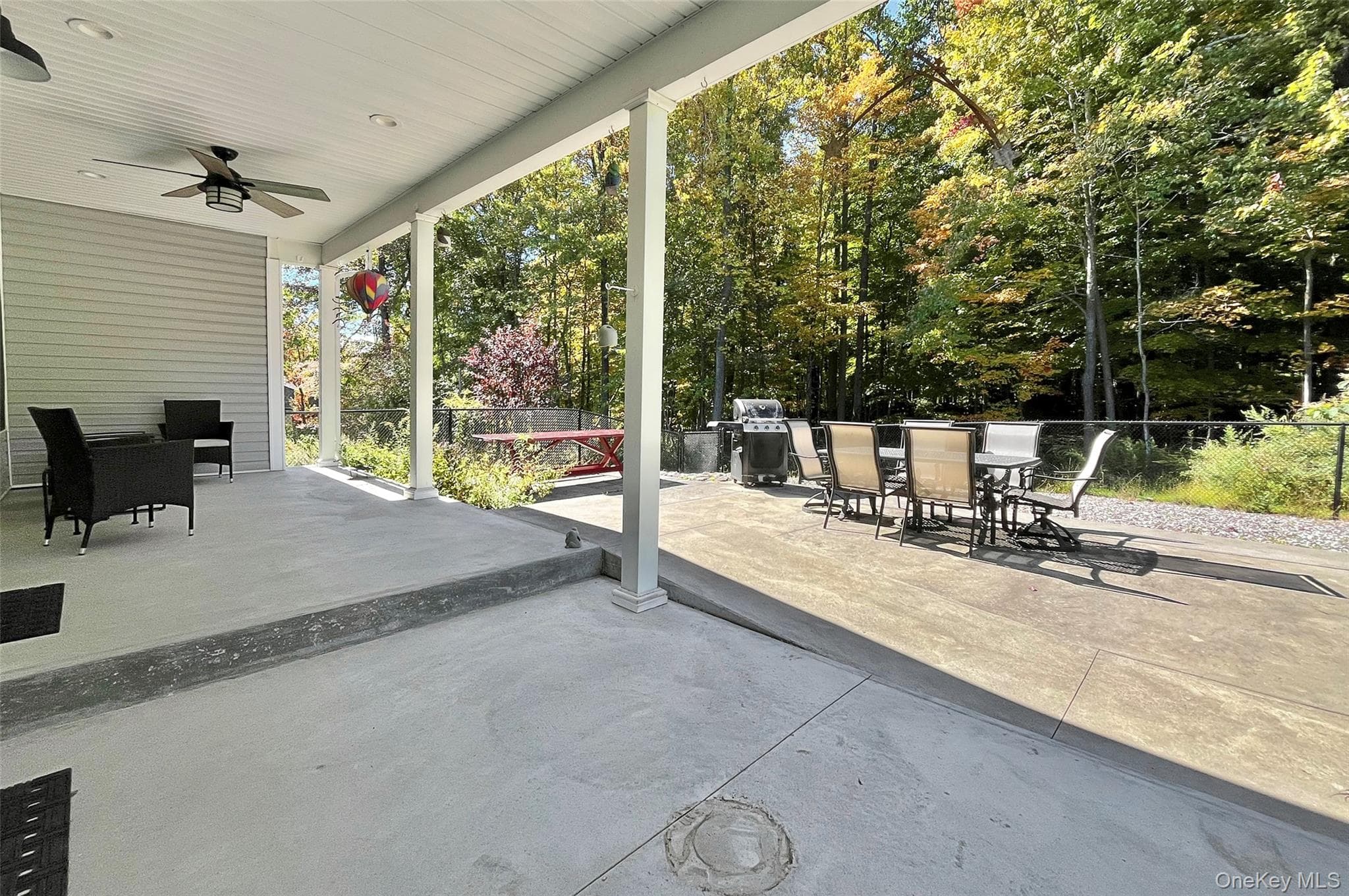 221 Maple Avenue thumbnail 33