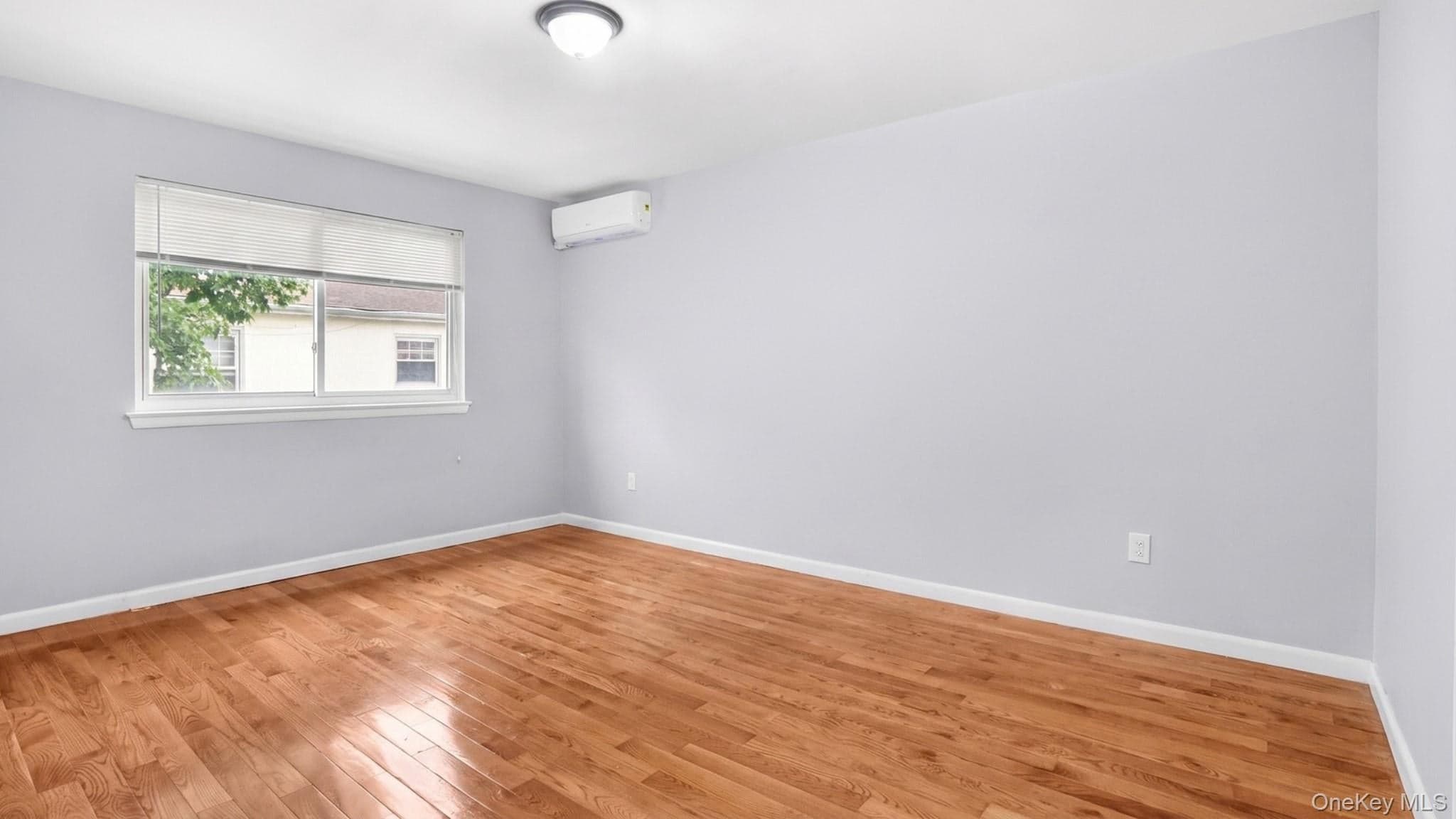 806 E 227th Street thumbnail 15