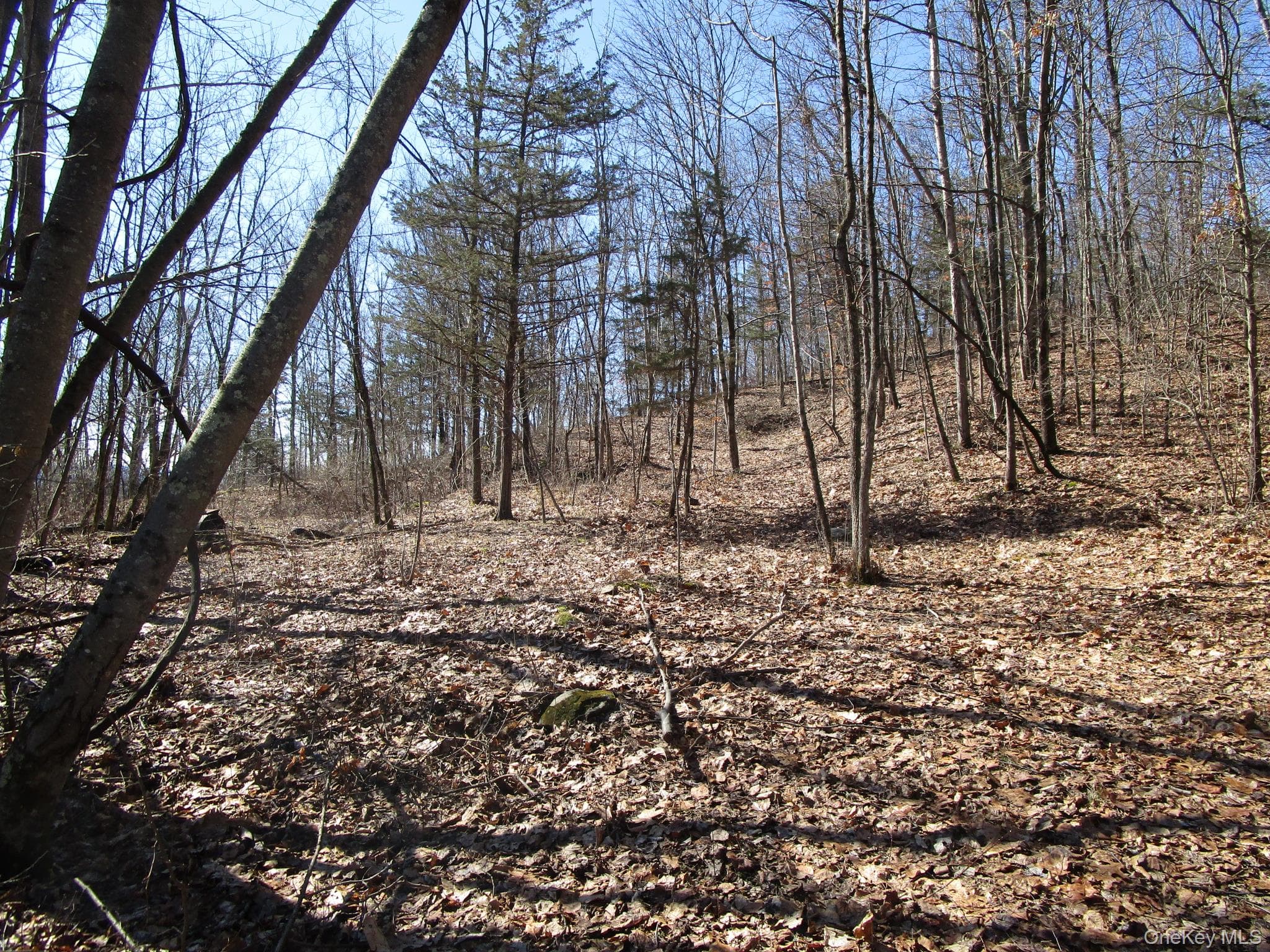 Co Rt 12 thumbnail 4