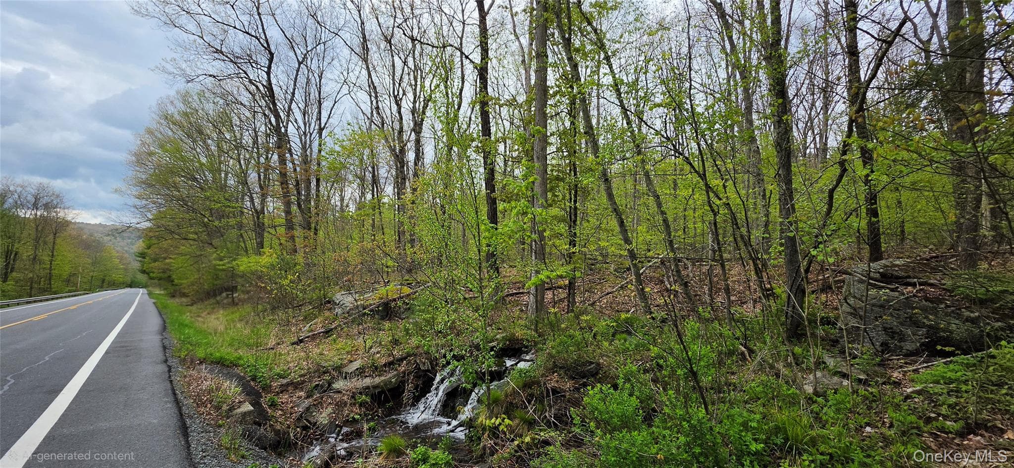 Lot 23.21 State Route 97 thumbnail 25