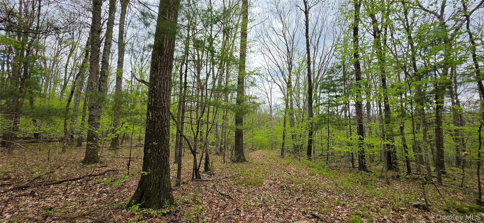 Lot 23.21 State Route 97 thumbnail 21